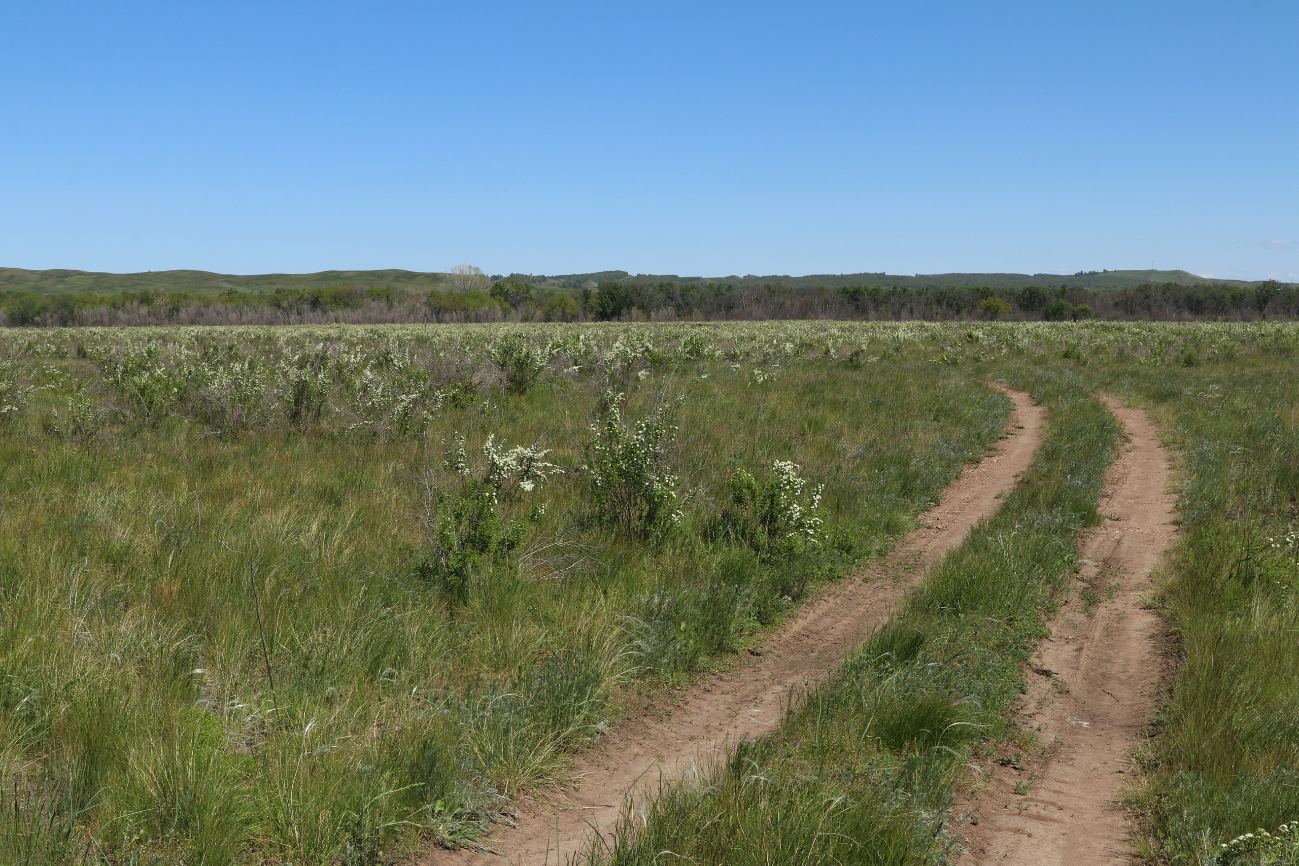 Велопоход Уфа — Мелеуз. Май 2024. Путешественник-фотограф из Санкт-Петербурга Татьяна Свистулина