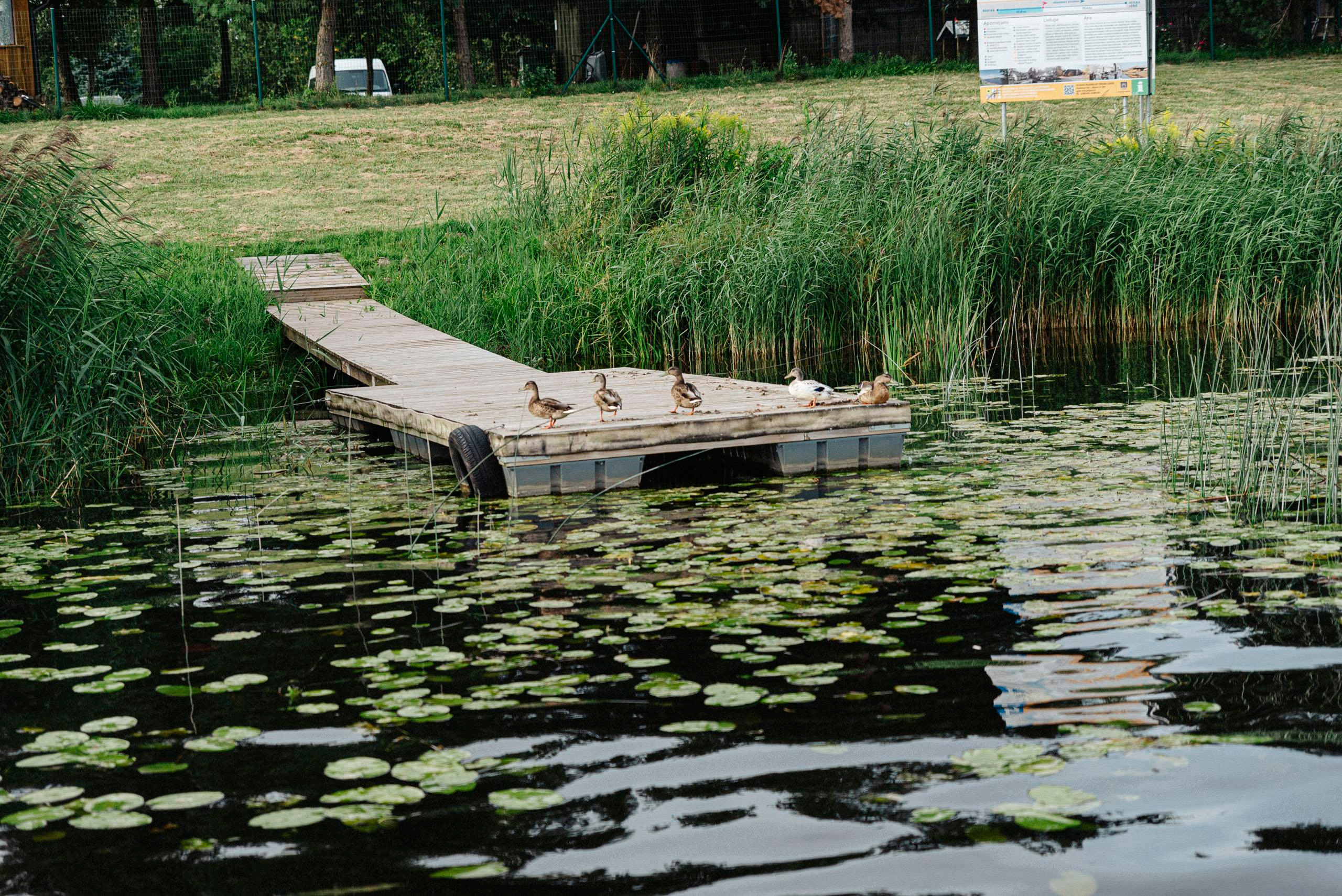 Фотограф Андрей Рижский. Санкт Петербург. Свадебная серия фотографий Екатерины и Владимира.
