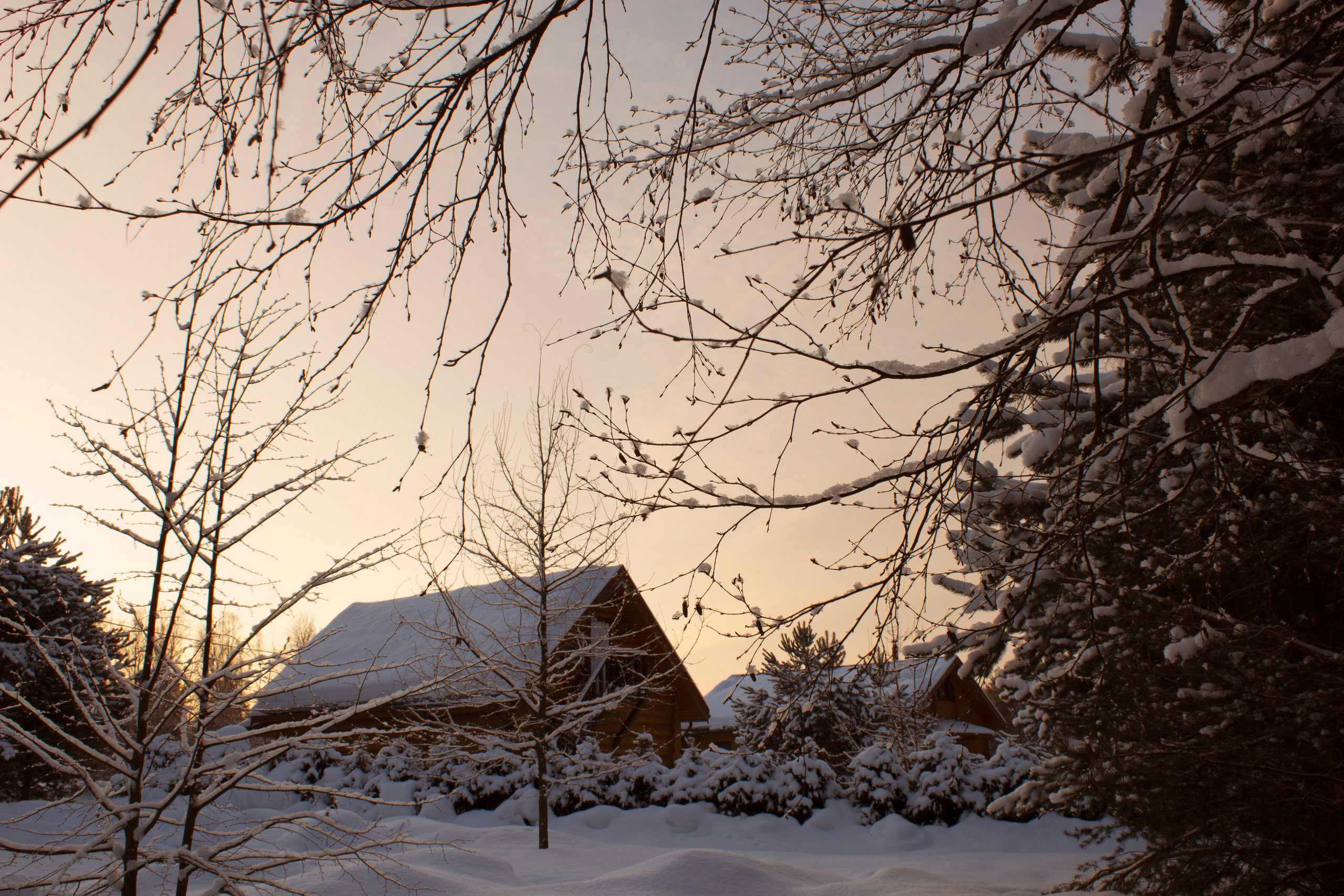 Зима. Природа севера