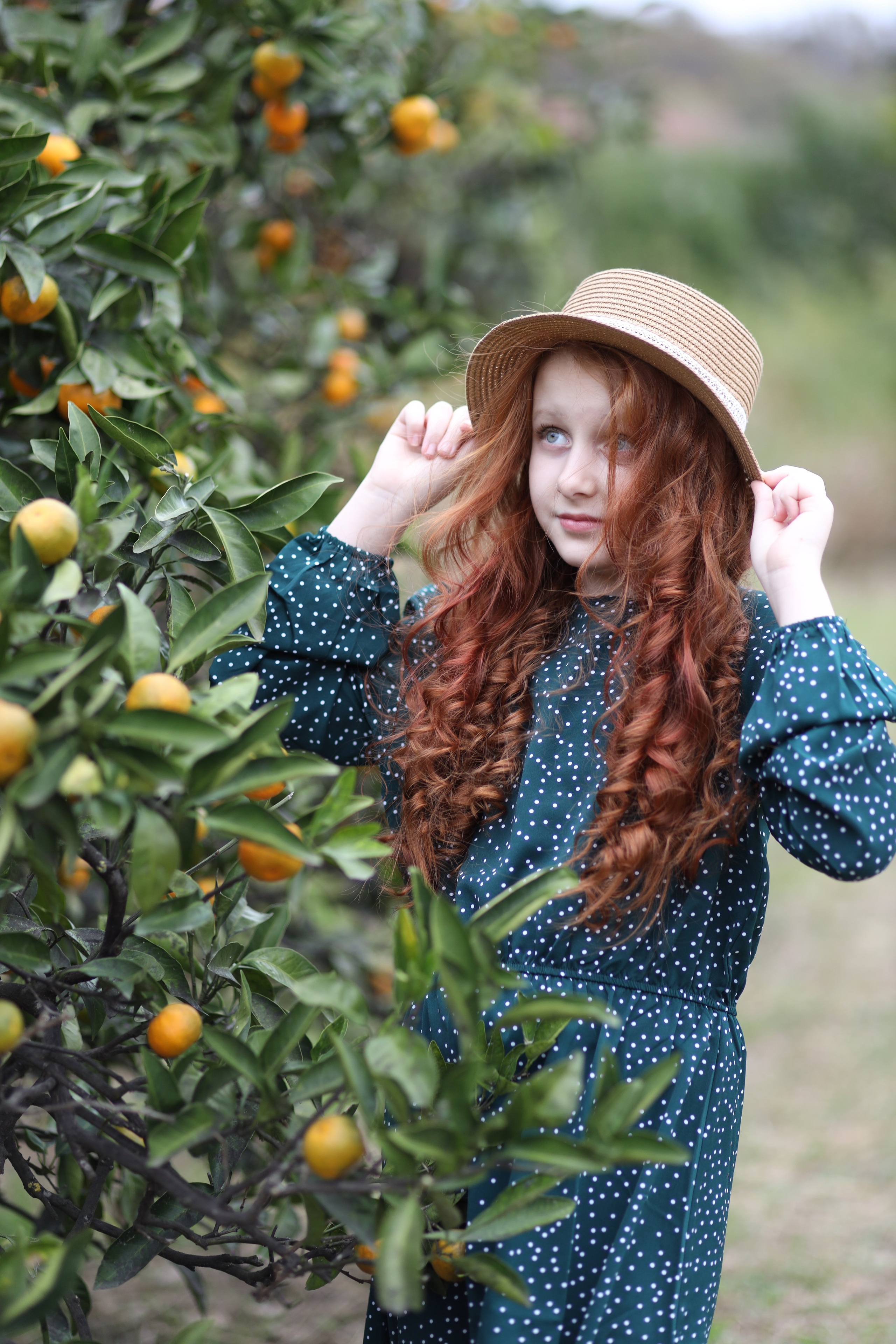 Отзывы. Alexsaphoto.ru