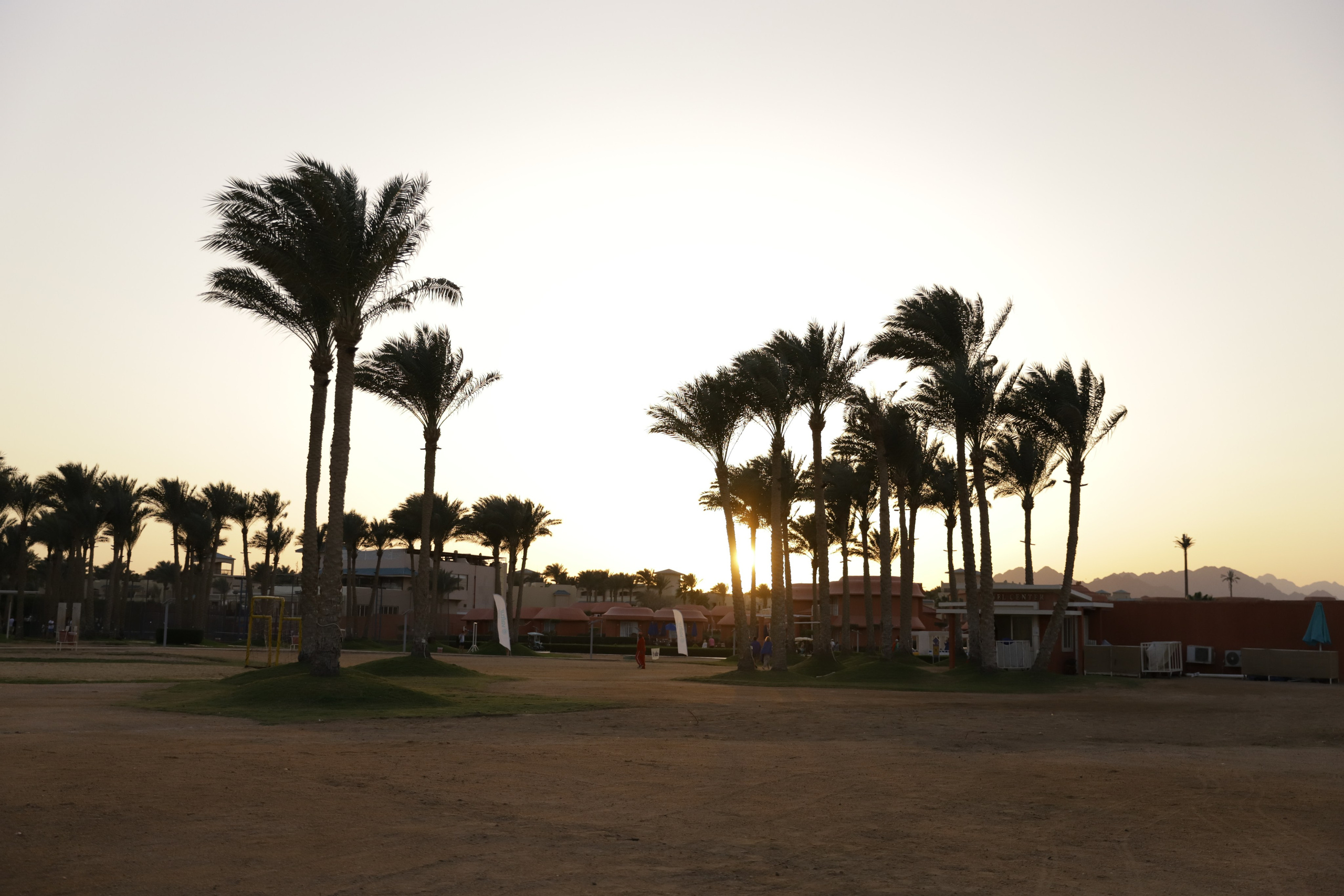 Блог. Светлана Иванова - профессиональный фотограф