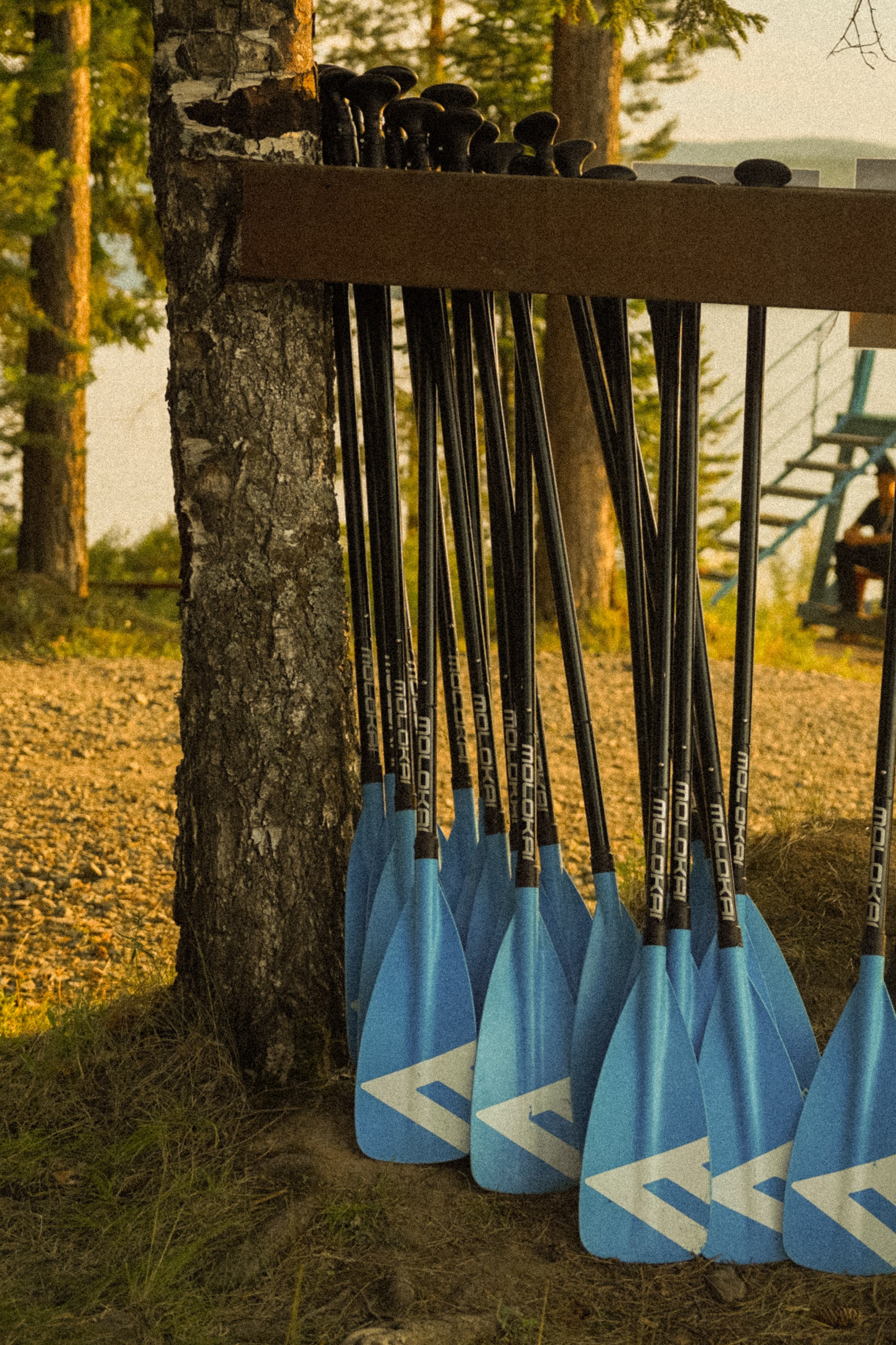 Бирюса 2025. Детали. Фотограф Кощеева Дарья