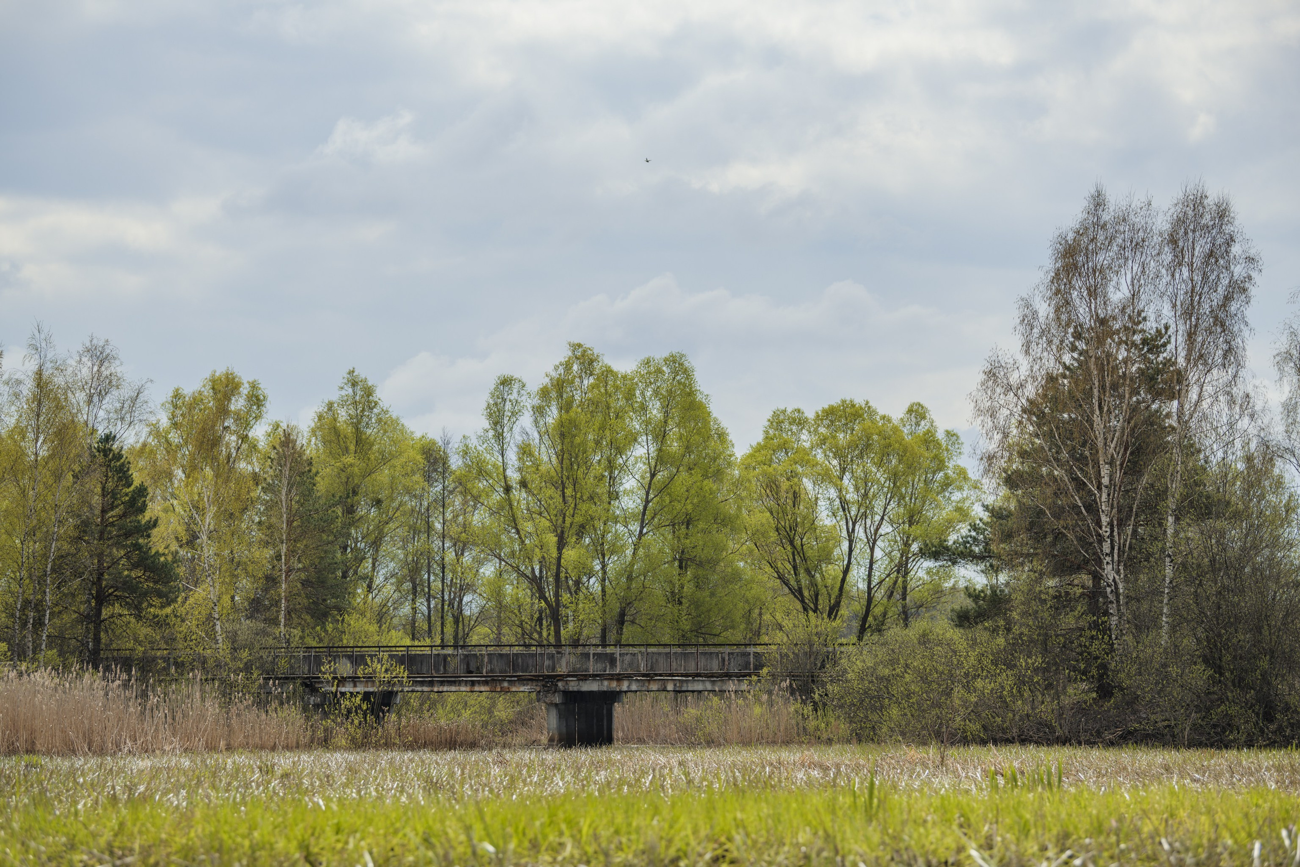 Водный поход 1-й кс по реке Случь. Репортажный фотограф Владимир Беляй