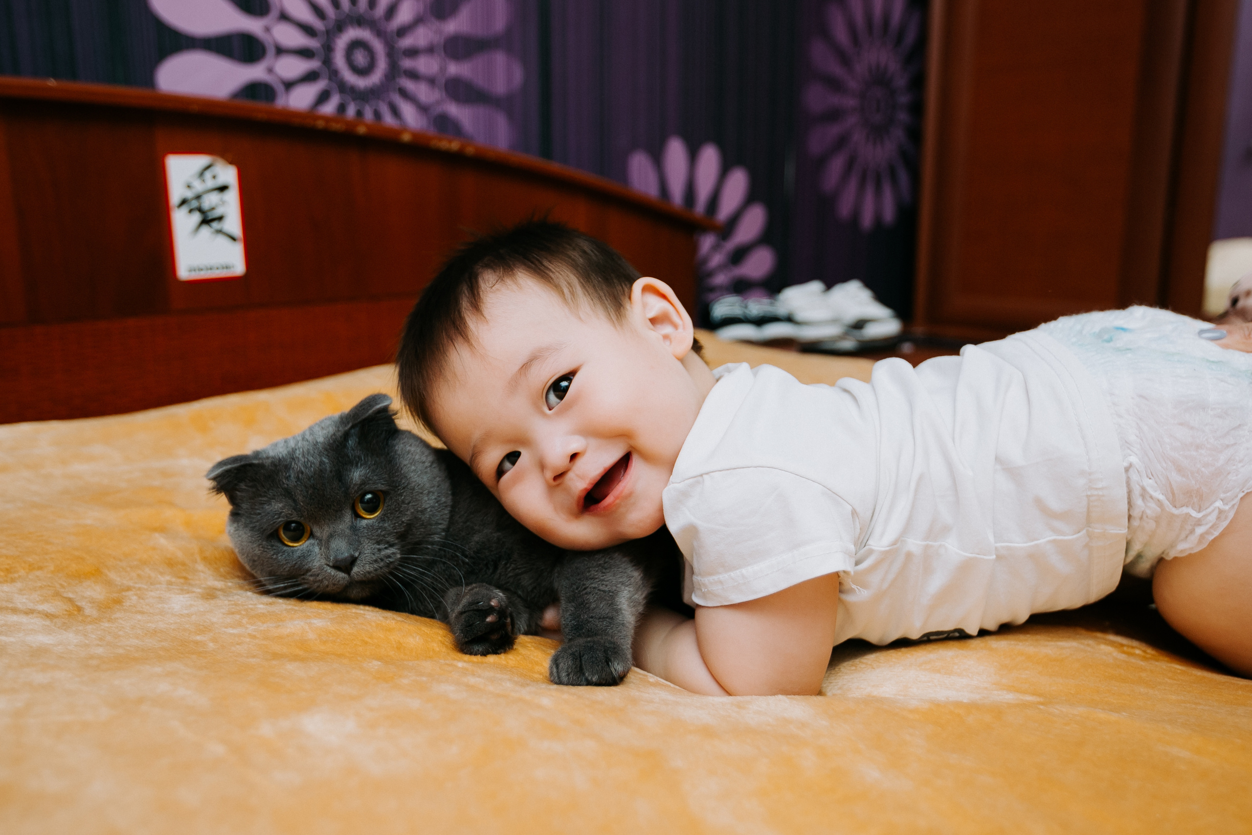 Асянди. Корейский годик. Майя Алиева Свадебный фотограф в Санкт-Петербурге