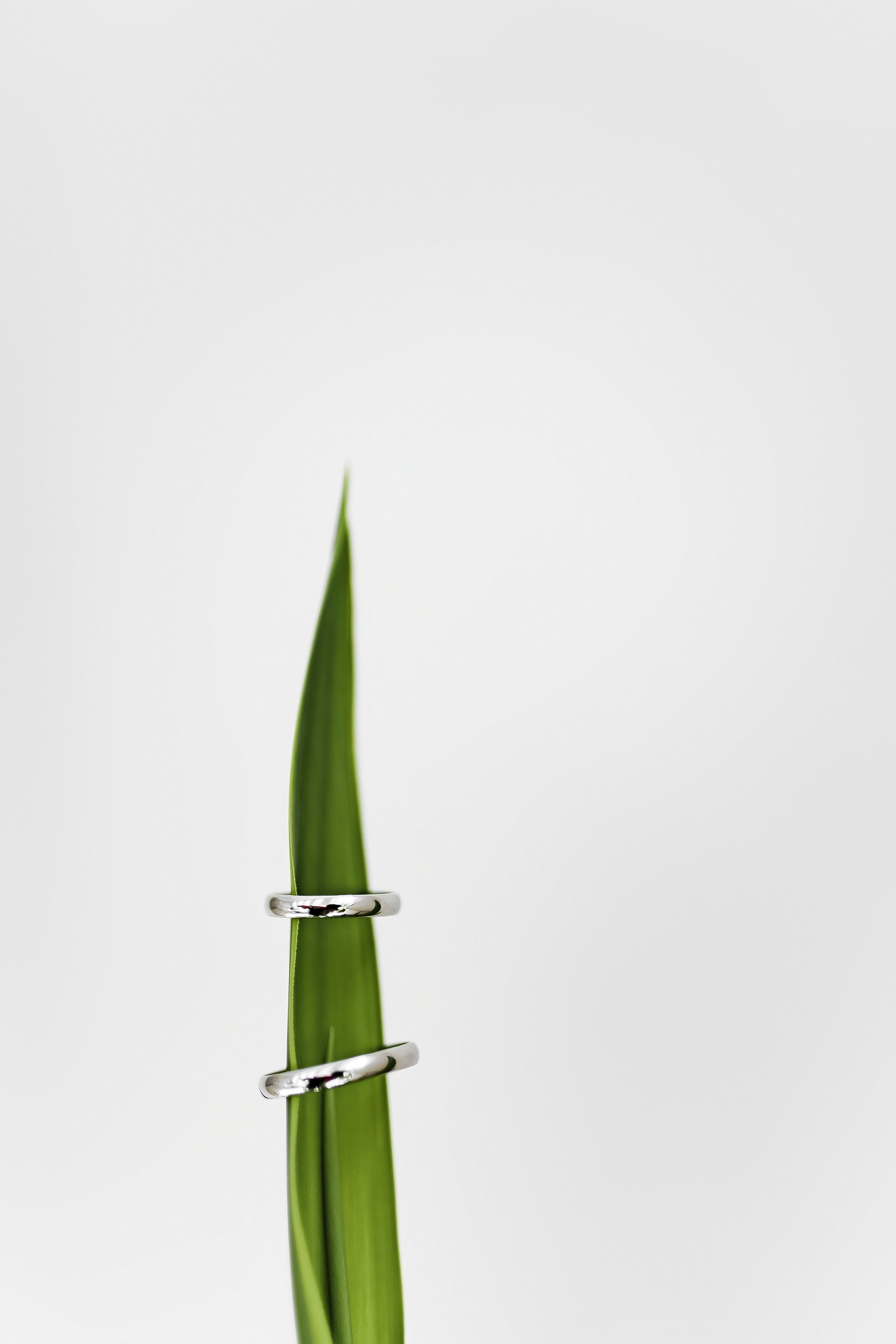 Татьяна и Денис. Фотограф Светлана Голицына