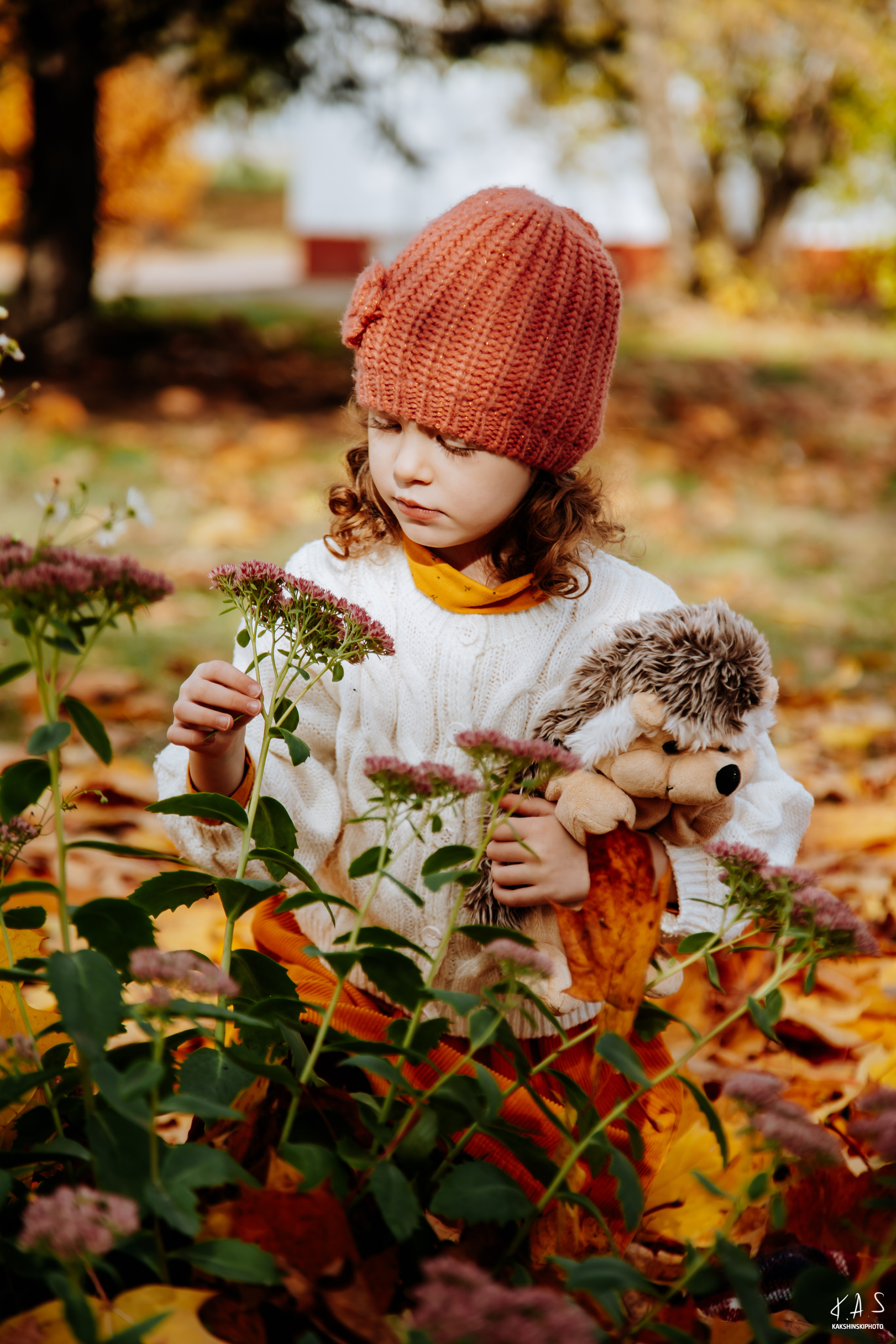 Осень. Фотография и видеосъёмка