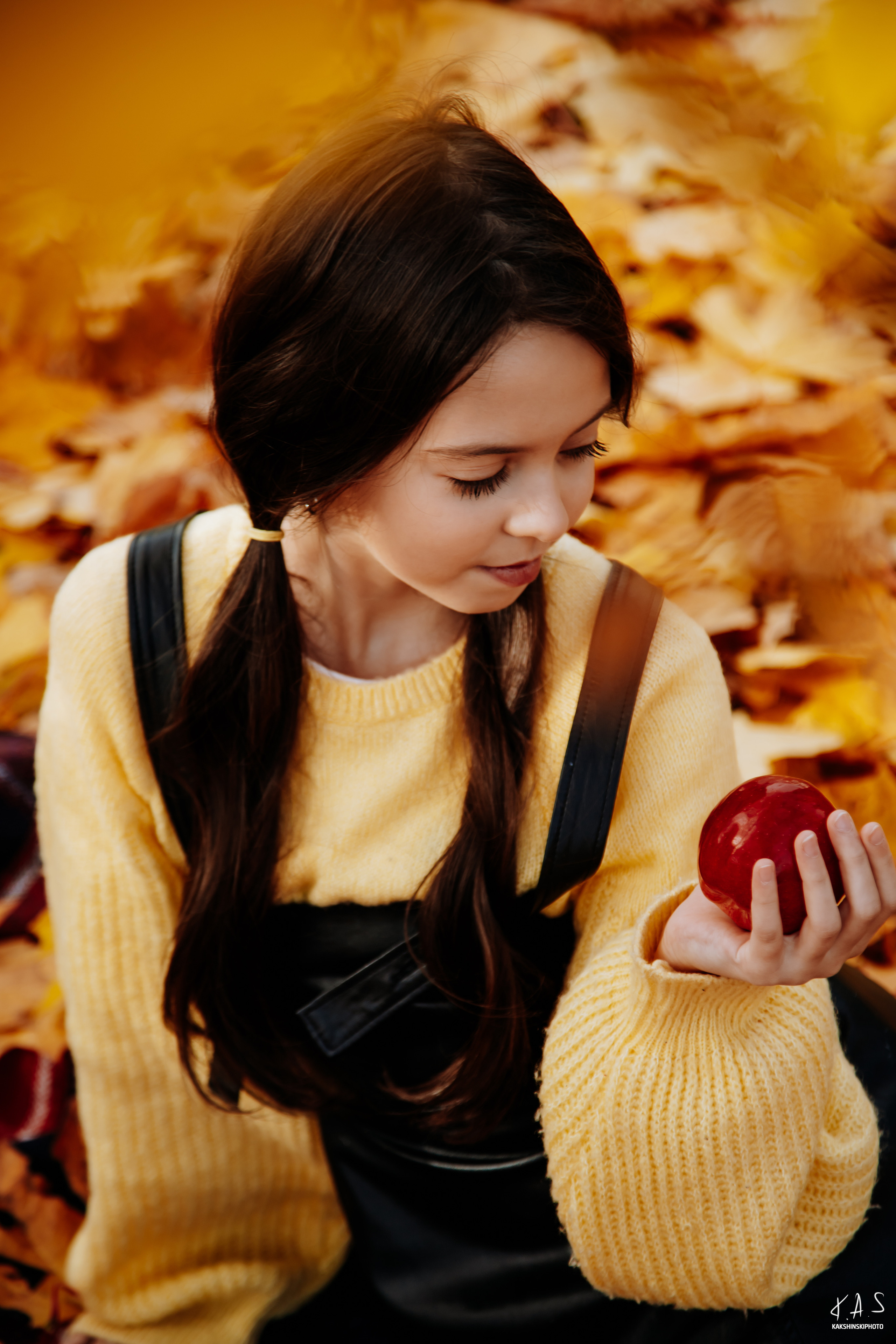 Осень. Фотография и видеосъёмка