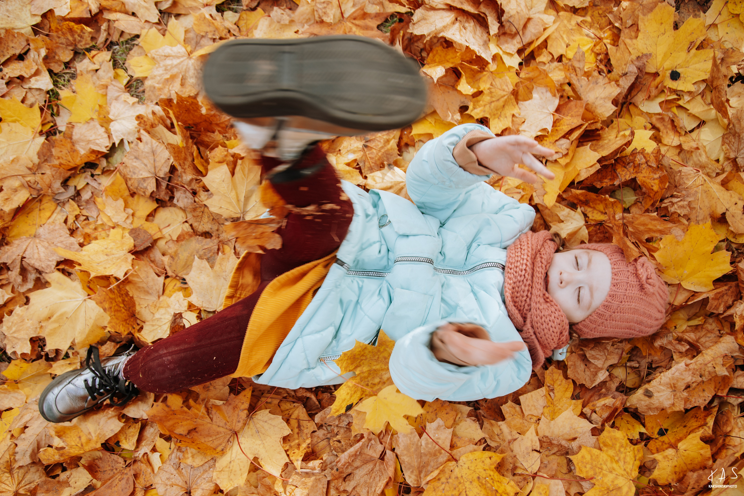 Осень. Фотография и видеосъёмка