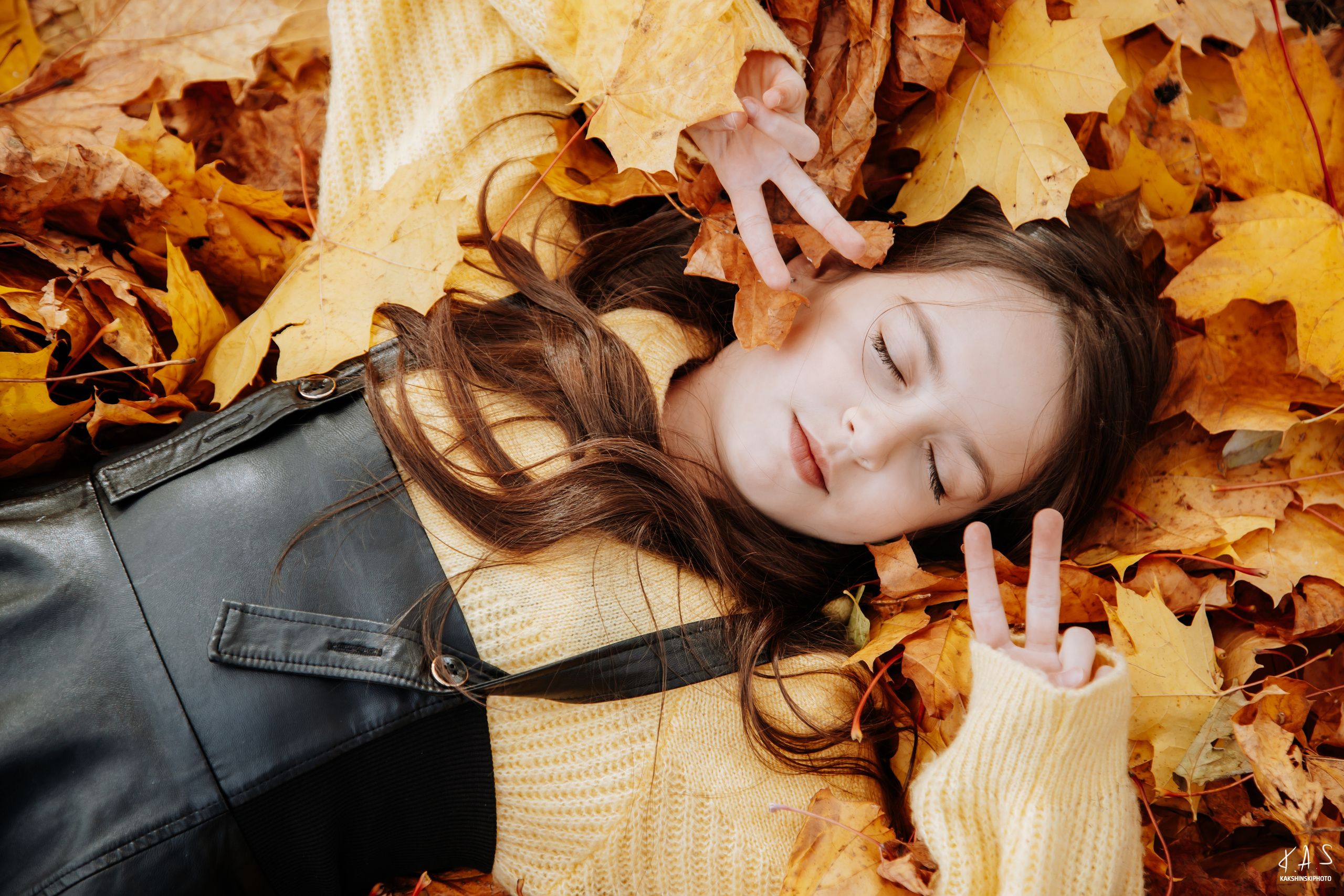 Осень. Фотография и видеосъёмка