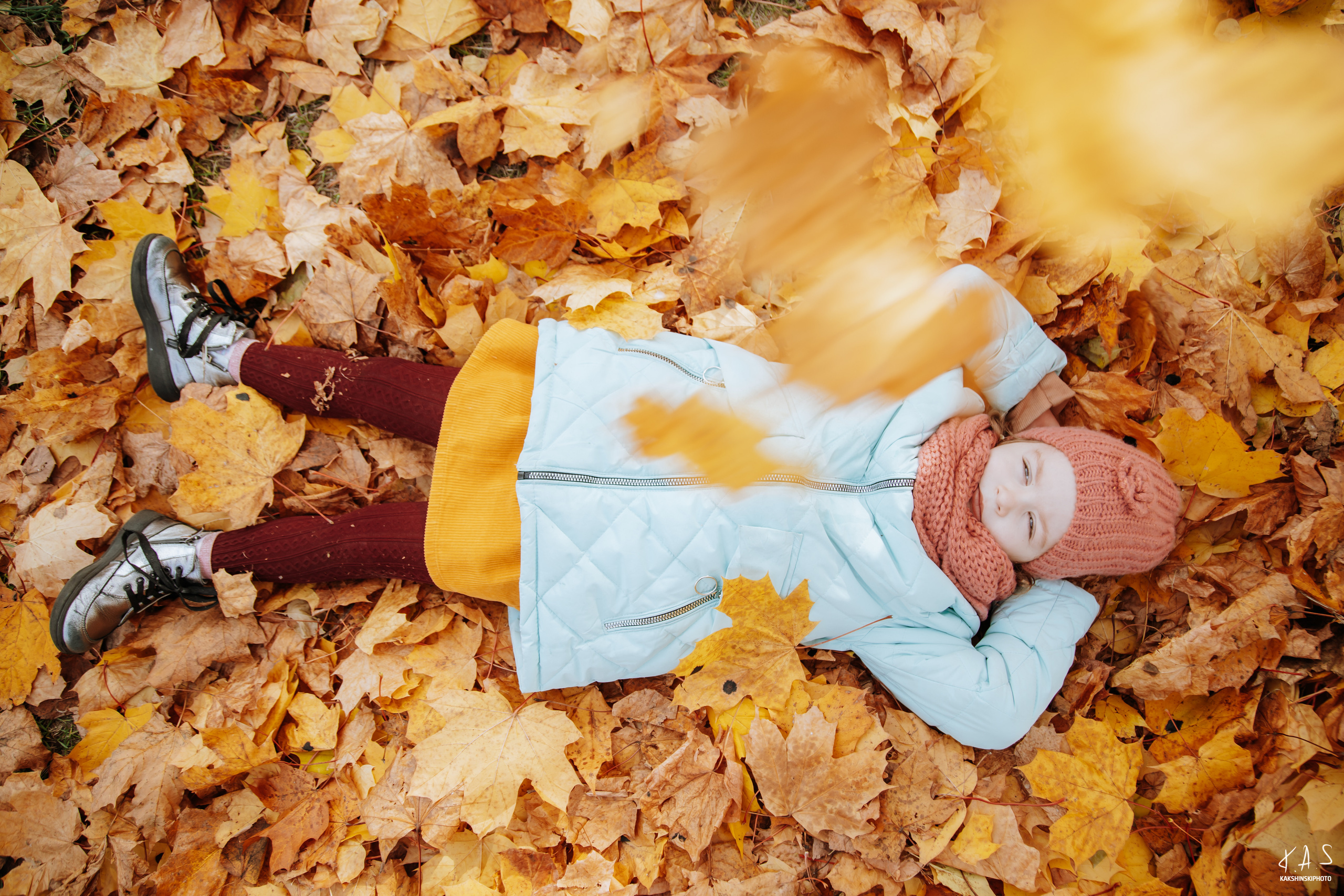 Осень. Фотография и видеосъёмка