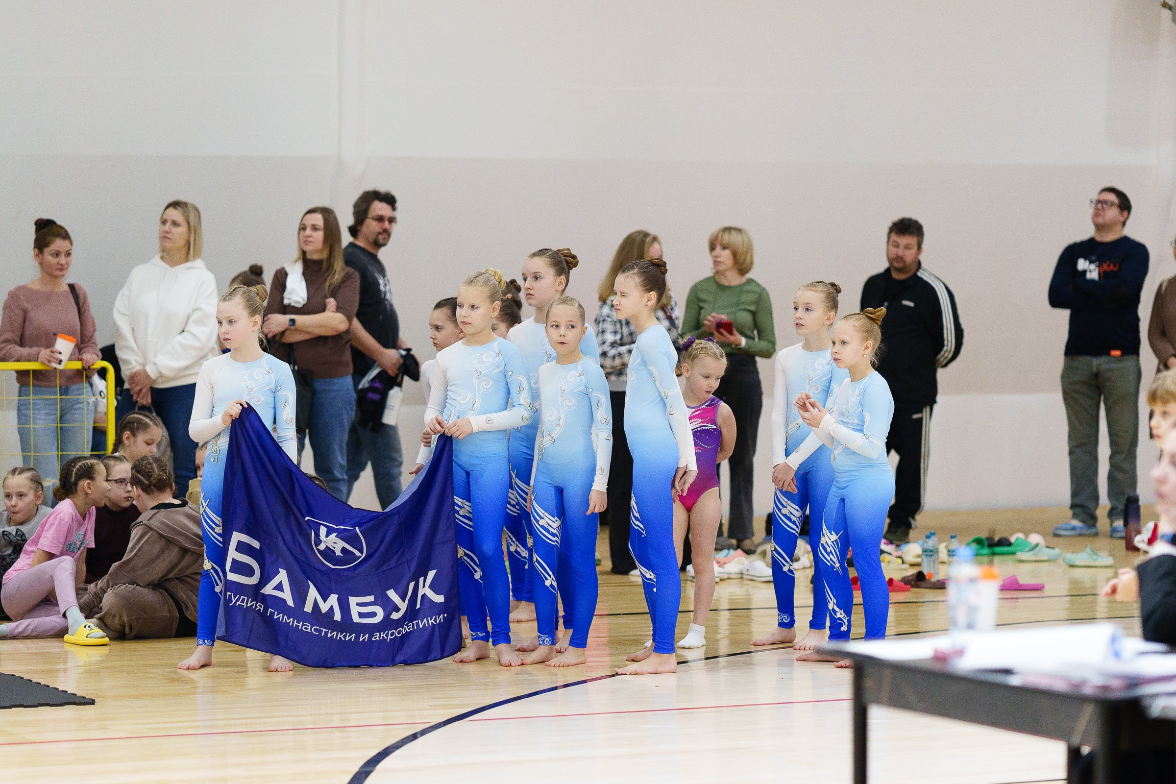 Гимнастика. Фотограф Москва