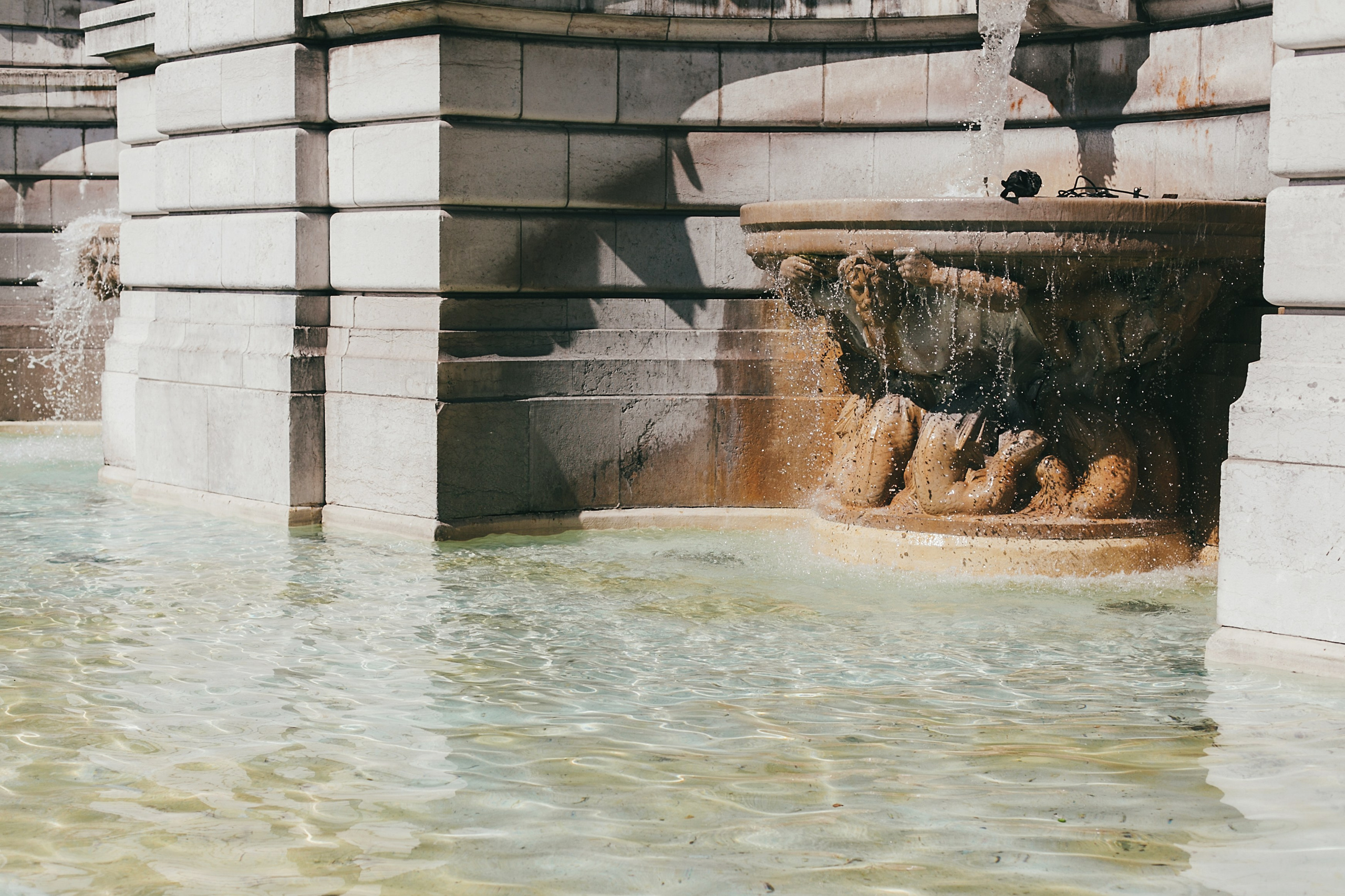 Париж. Аня Степанова