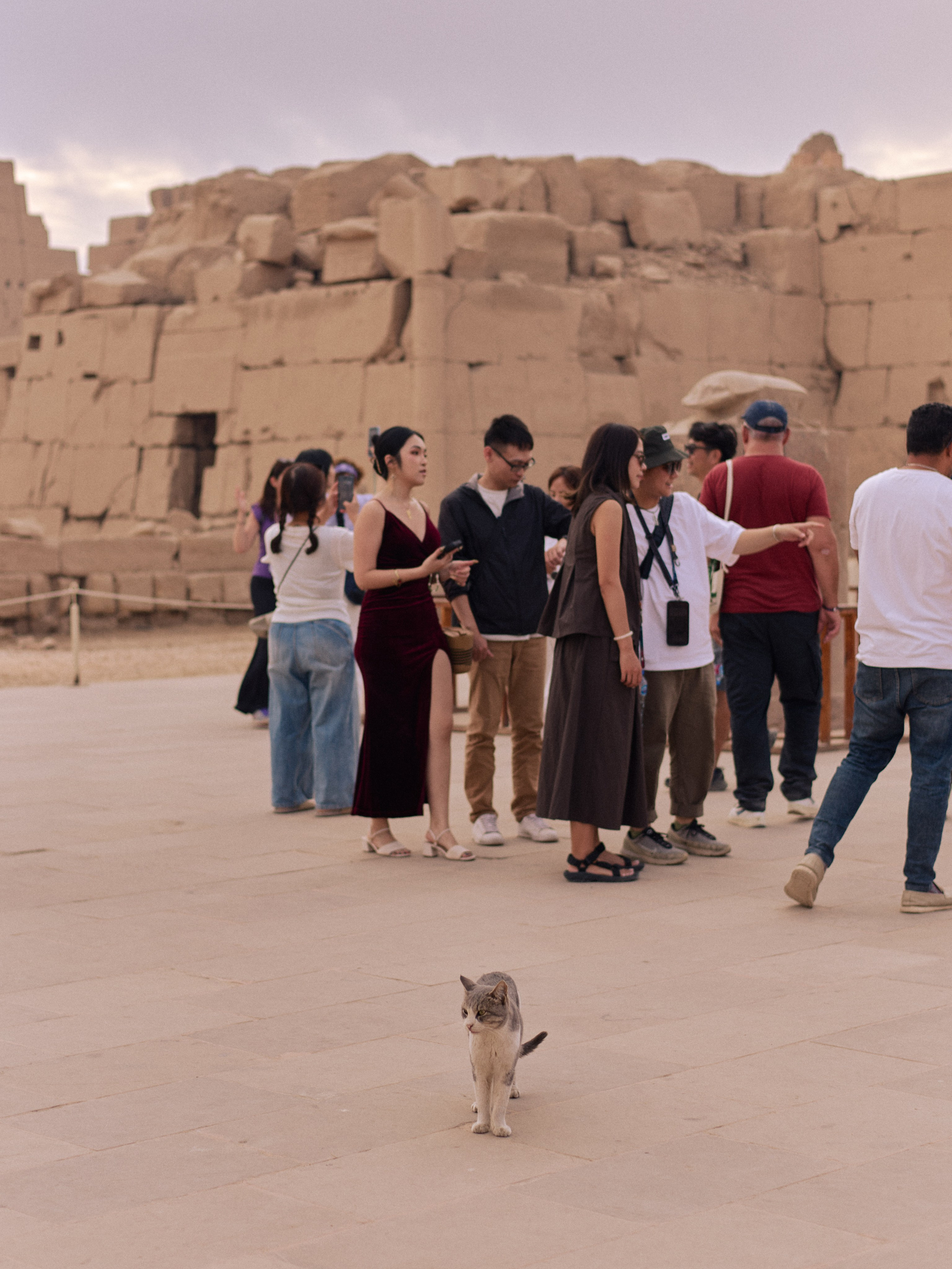 Другое 4. Jorgis — фотограф в Хургаде / обучение фотографии