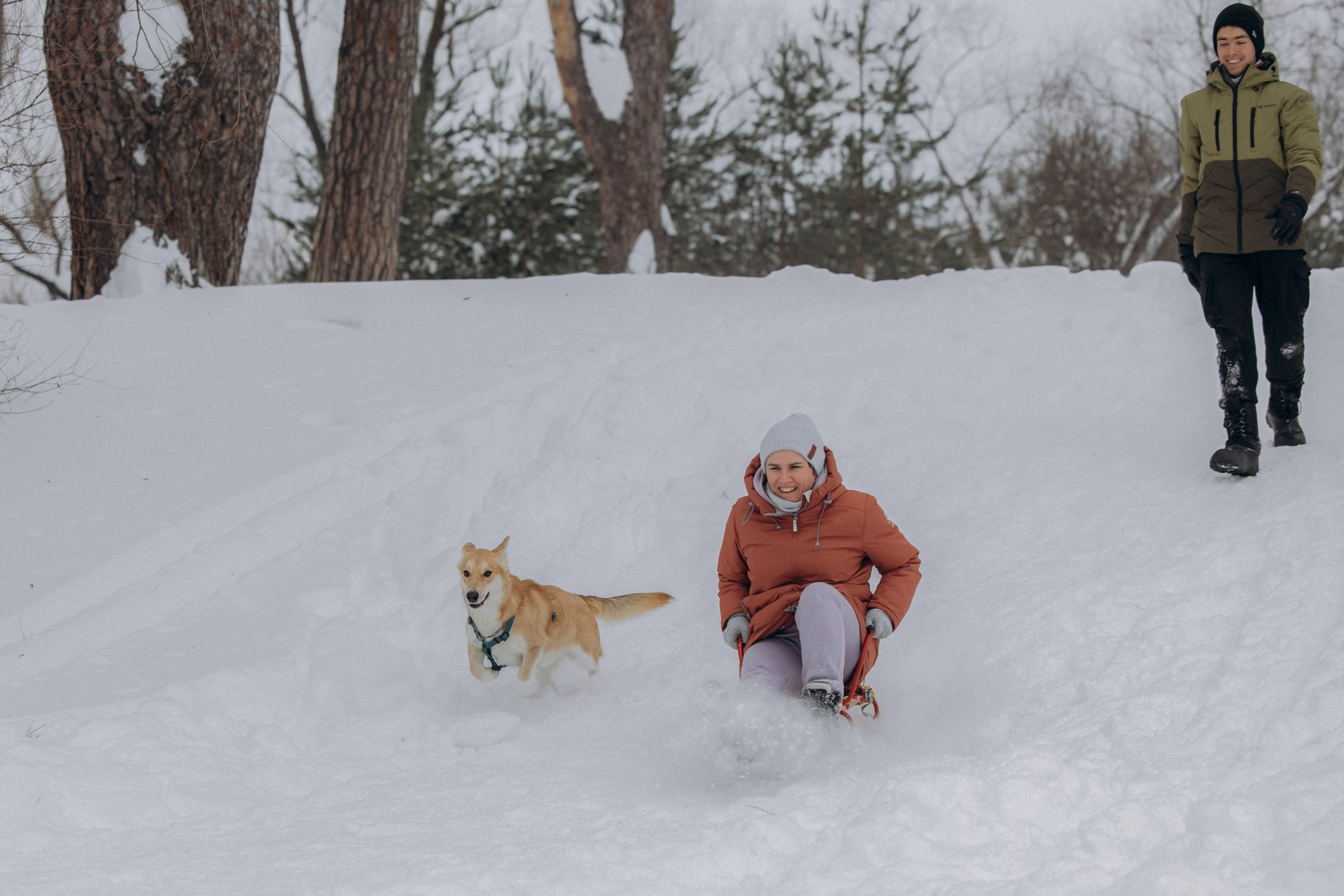Прогулка на озере зимой. Фотограф анималист в Казани Алина Сулейманова. Фотограф животных