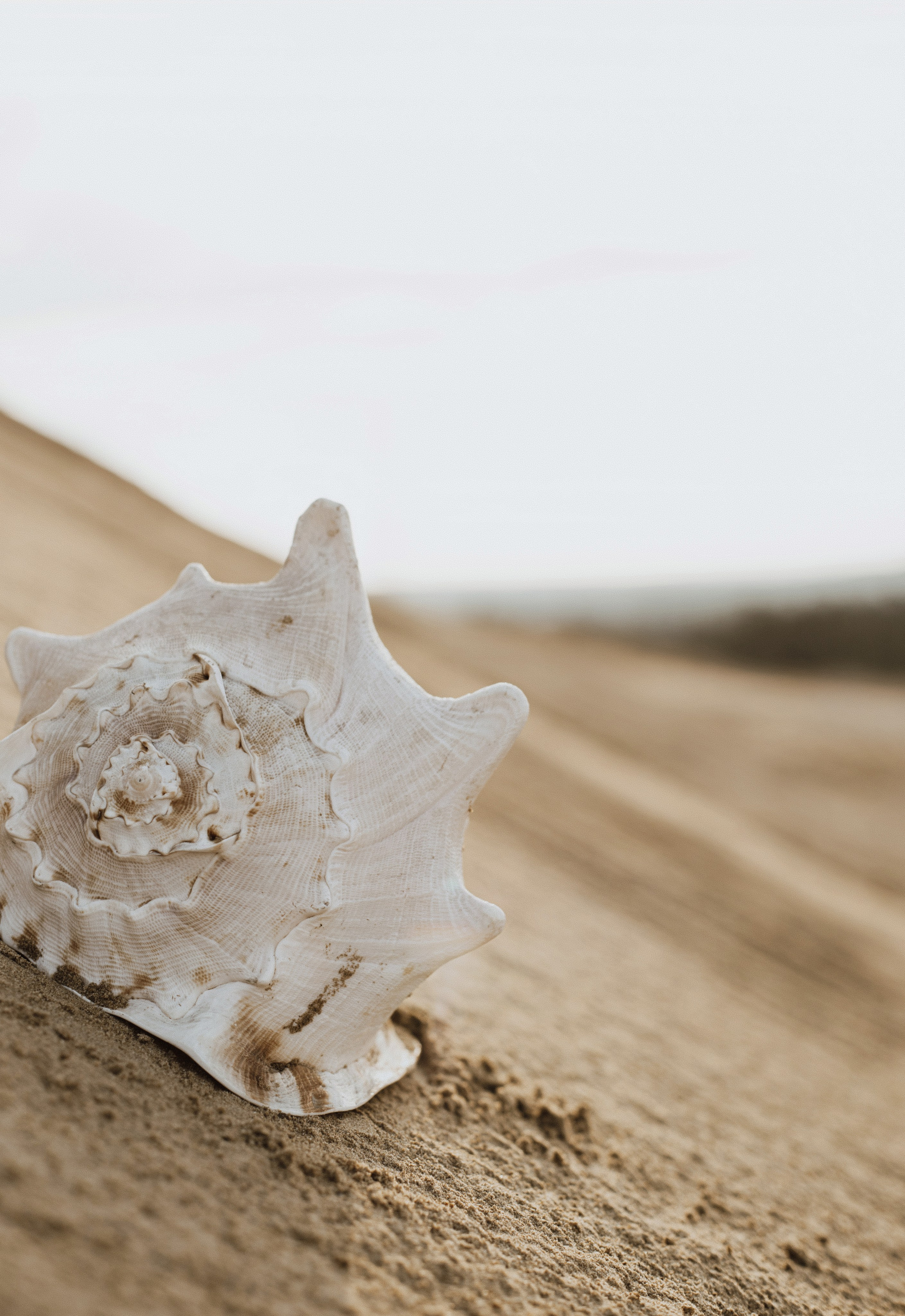 Катя(индивидуальная)