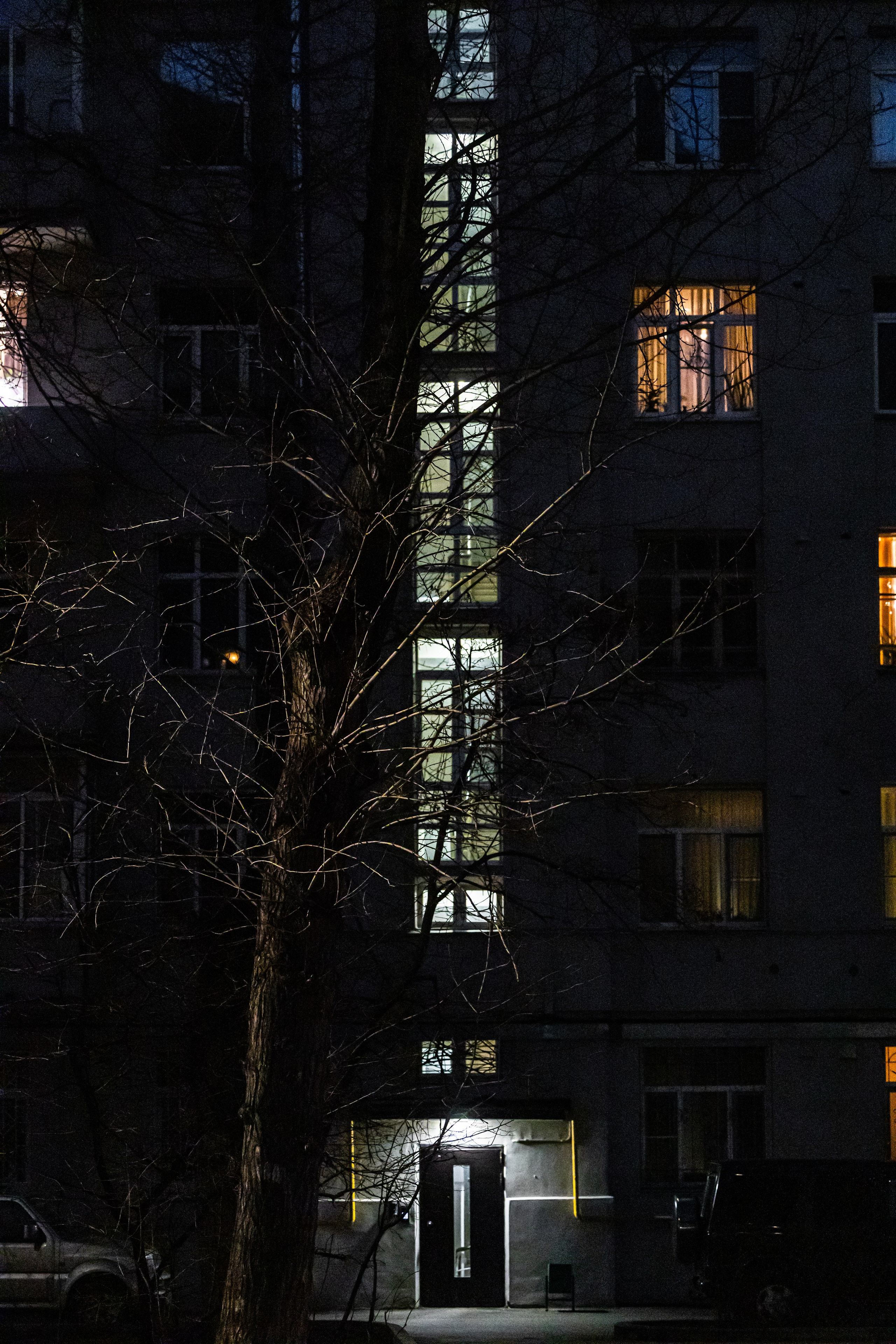 Весна в Москве 2025. Фотографирую жизнь! Московский фотограф волонтер