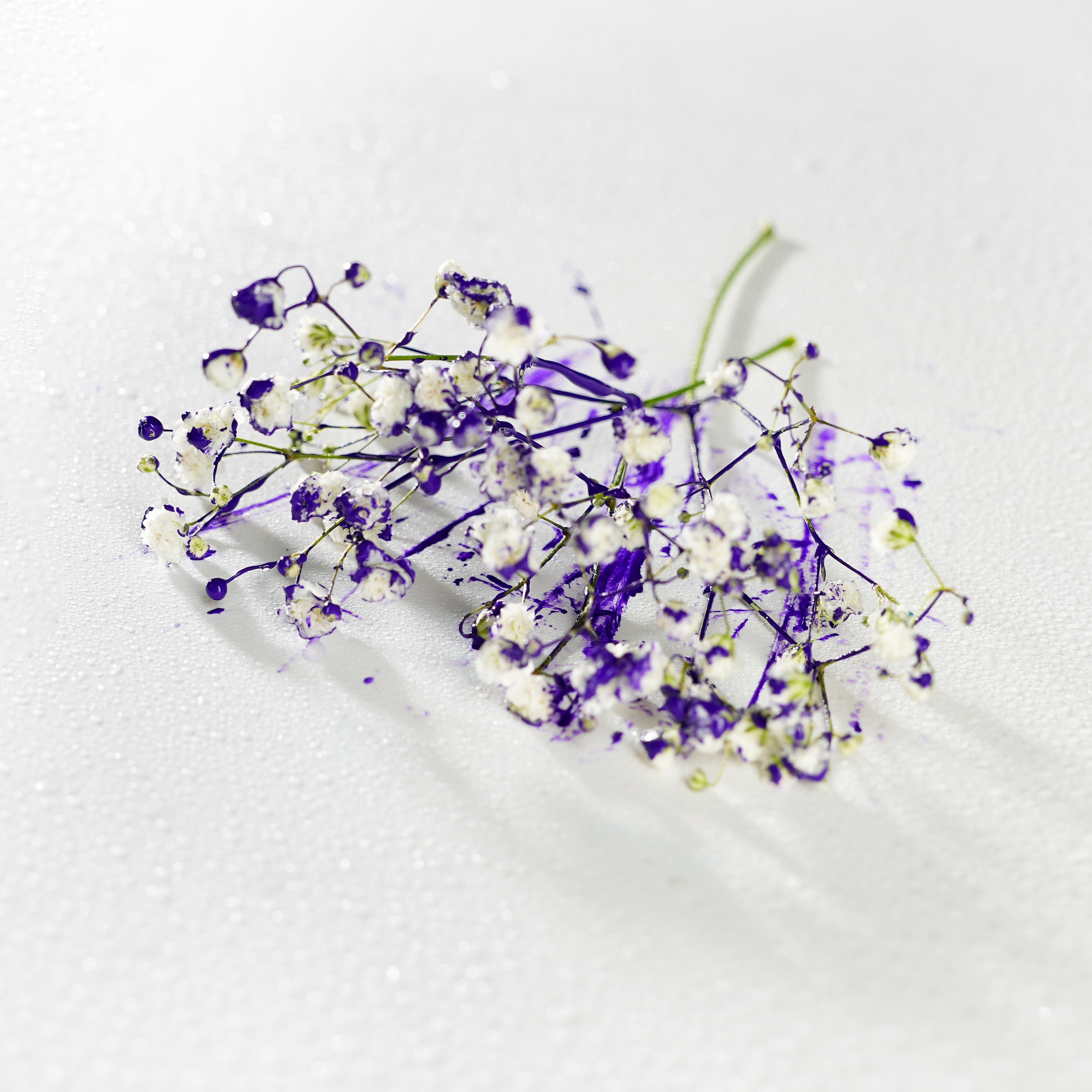 Предметная фотосъёмка. Фотограф, видеооператор Нина Коршунова