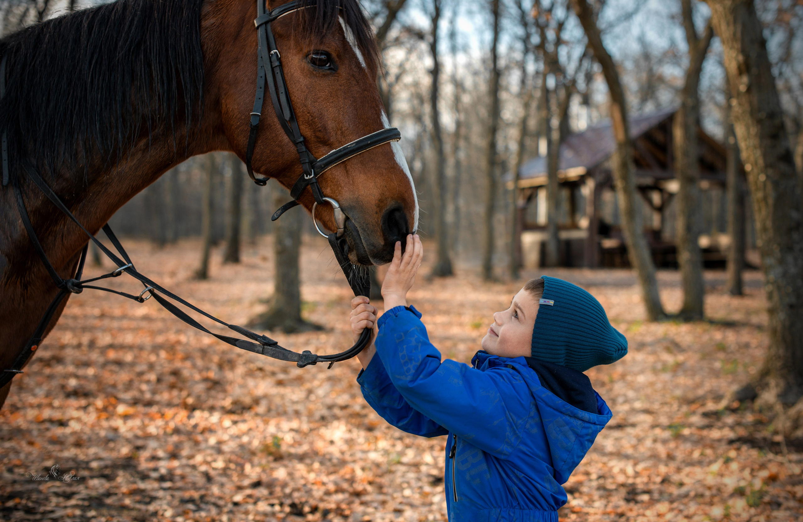Дети и Ватикан. Конный фотограф в Саратове Юлия Иванова