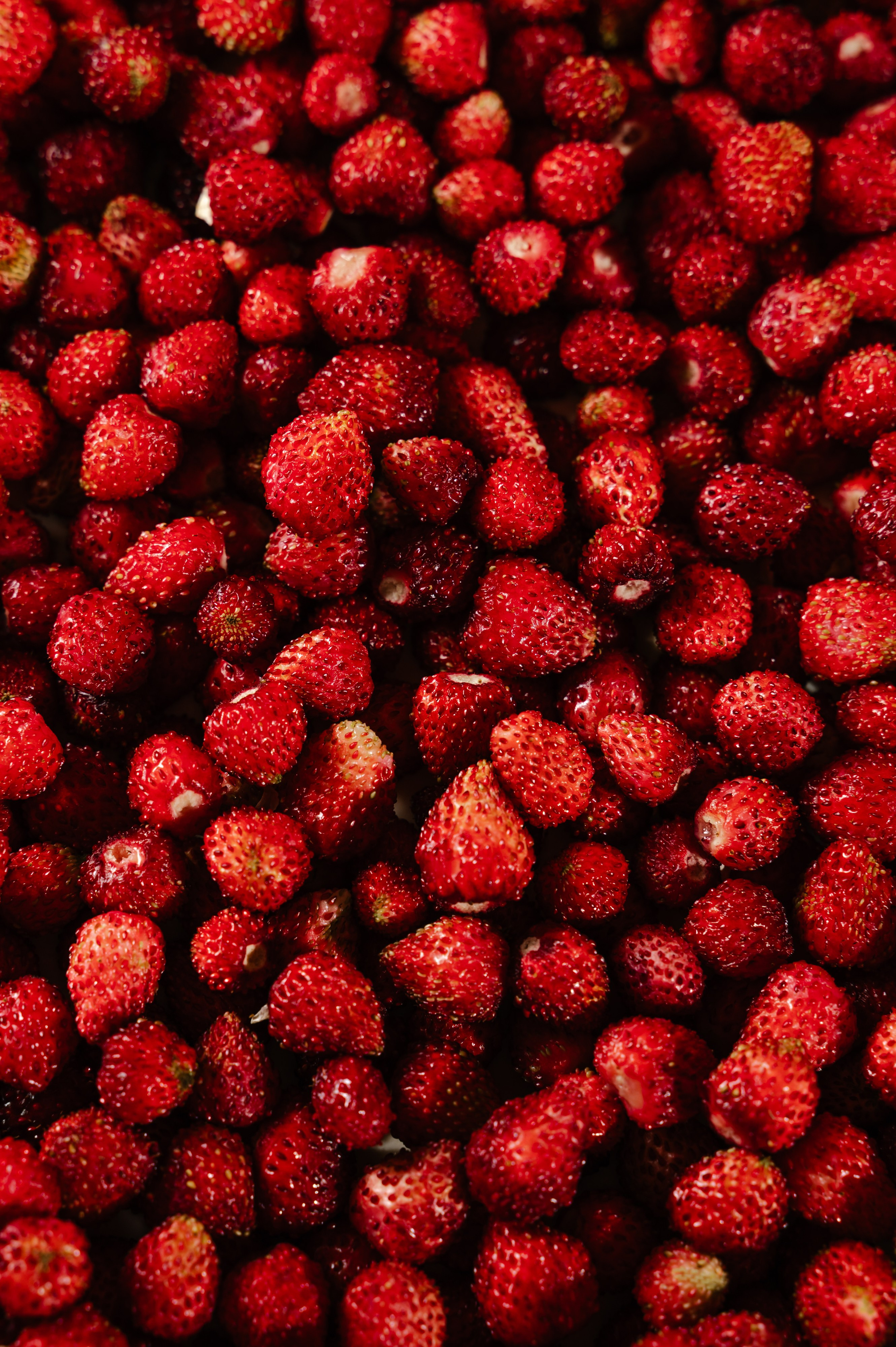 Food. Фотограф Дина Кубликова