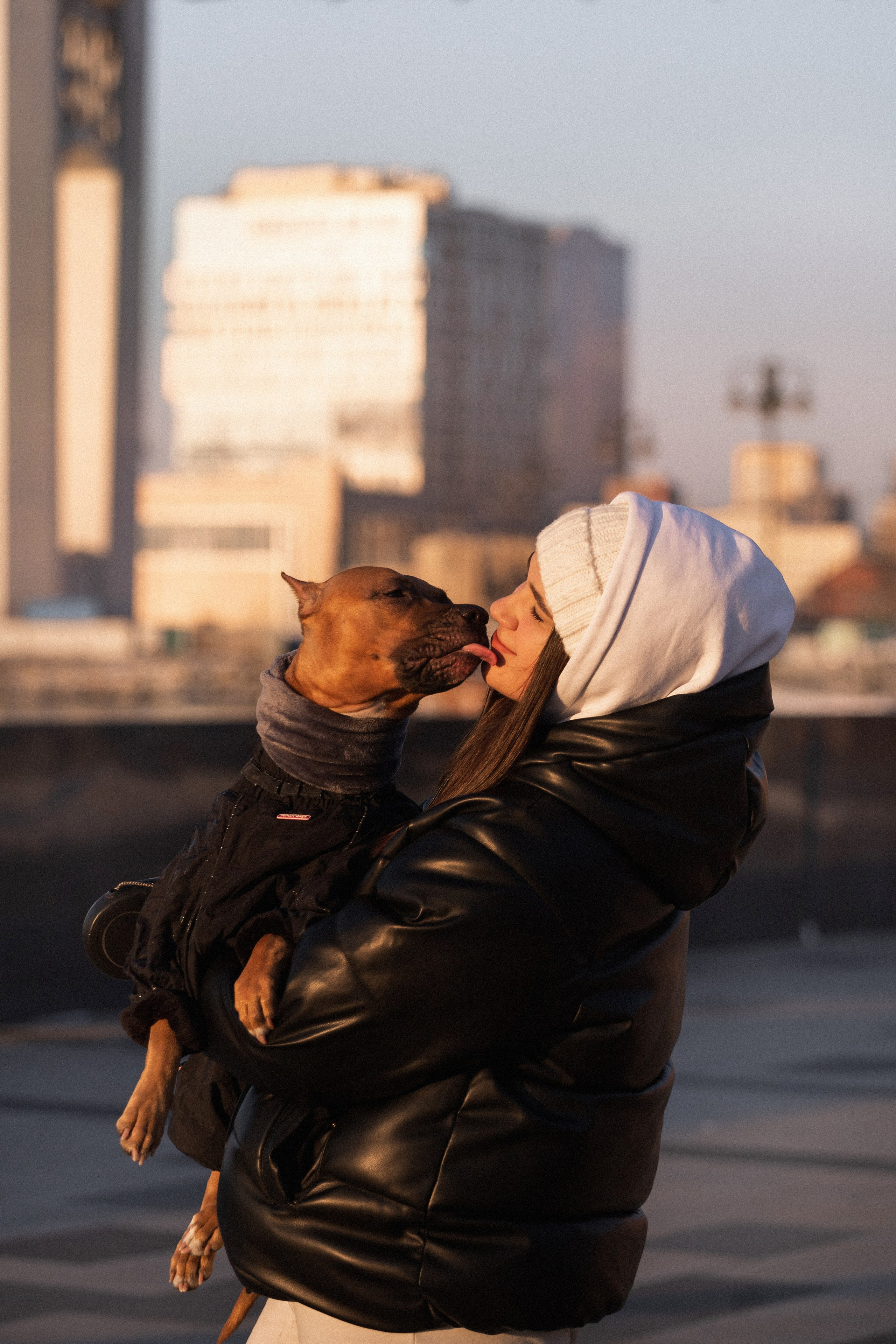 Арина и Стэфи. Фотограф — анималист Владивосток, Алина