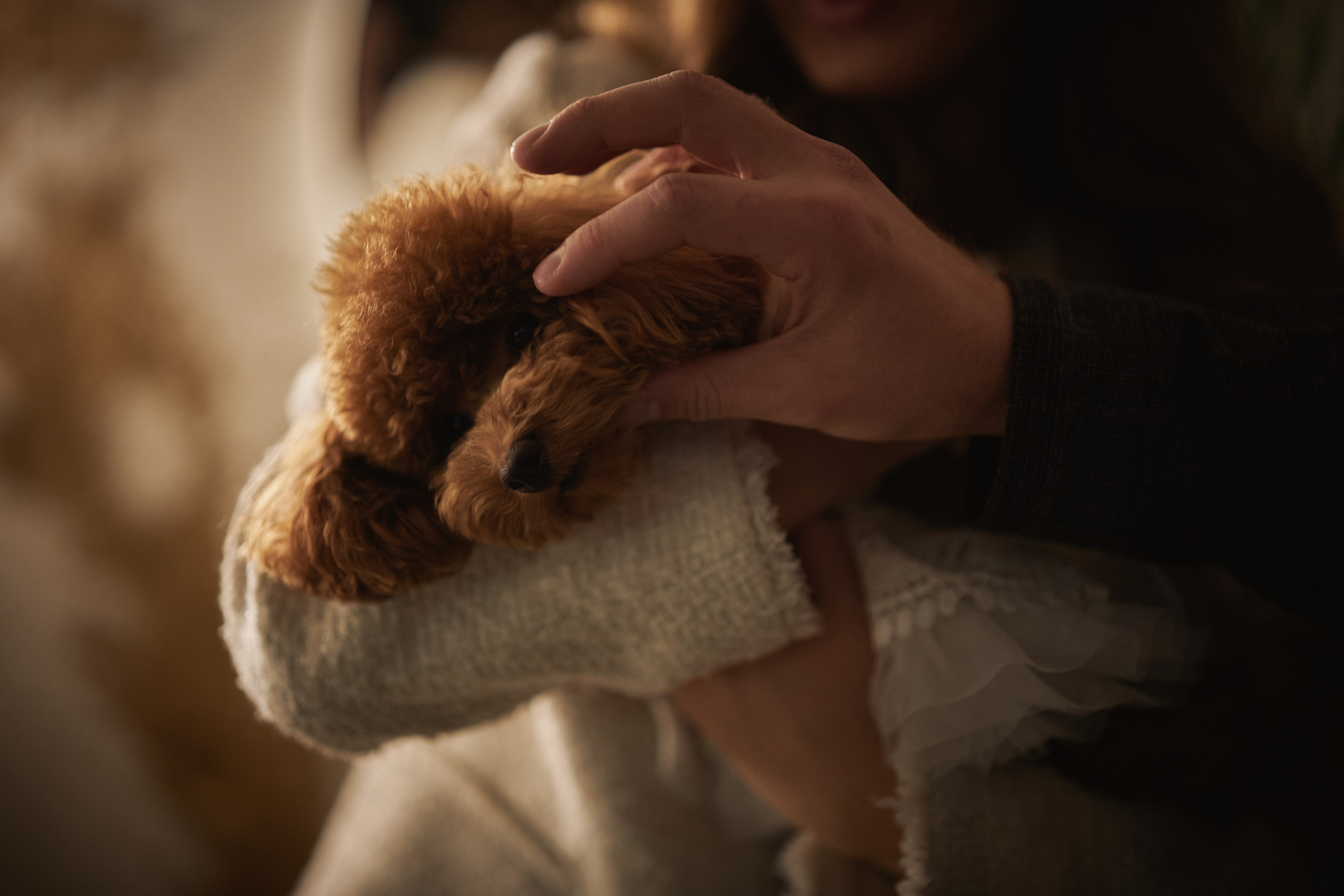 Аня и Дима. Фотограф в Санкт-Петербурге | Аня Маленчук