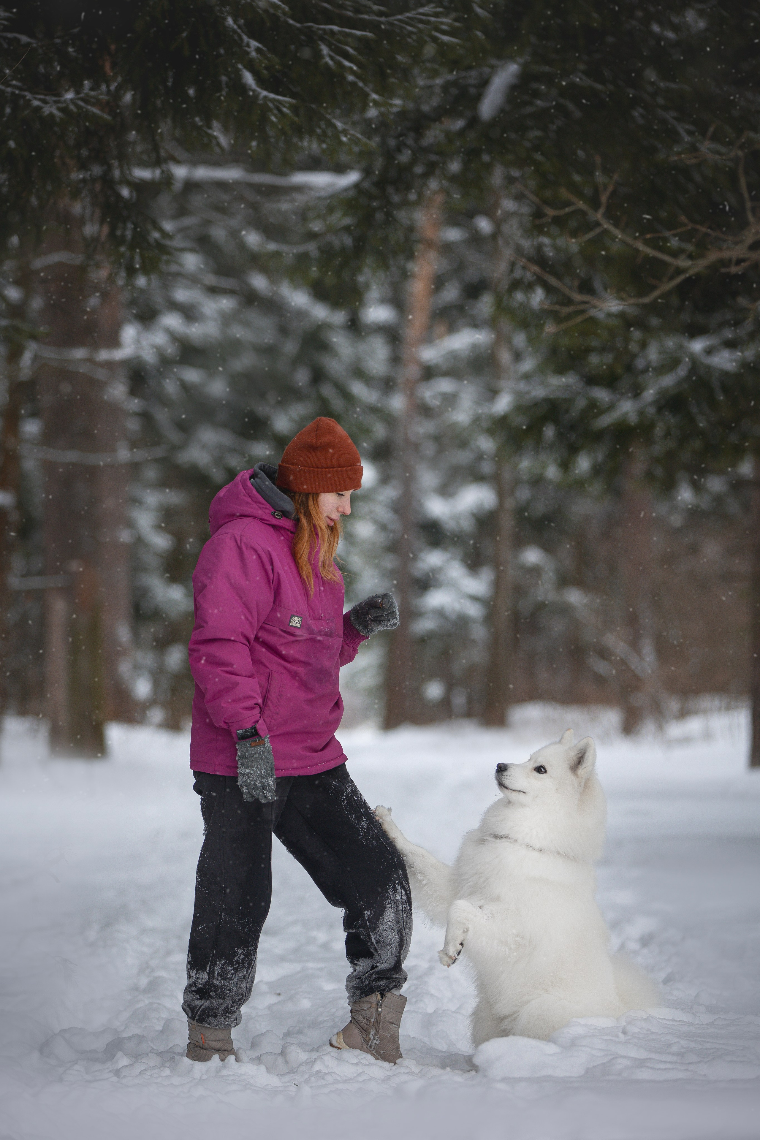 Руби, Николь, Кирилл и Мила. Фотограф анималист в Москве Майорова Евгения