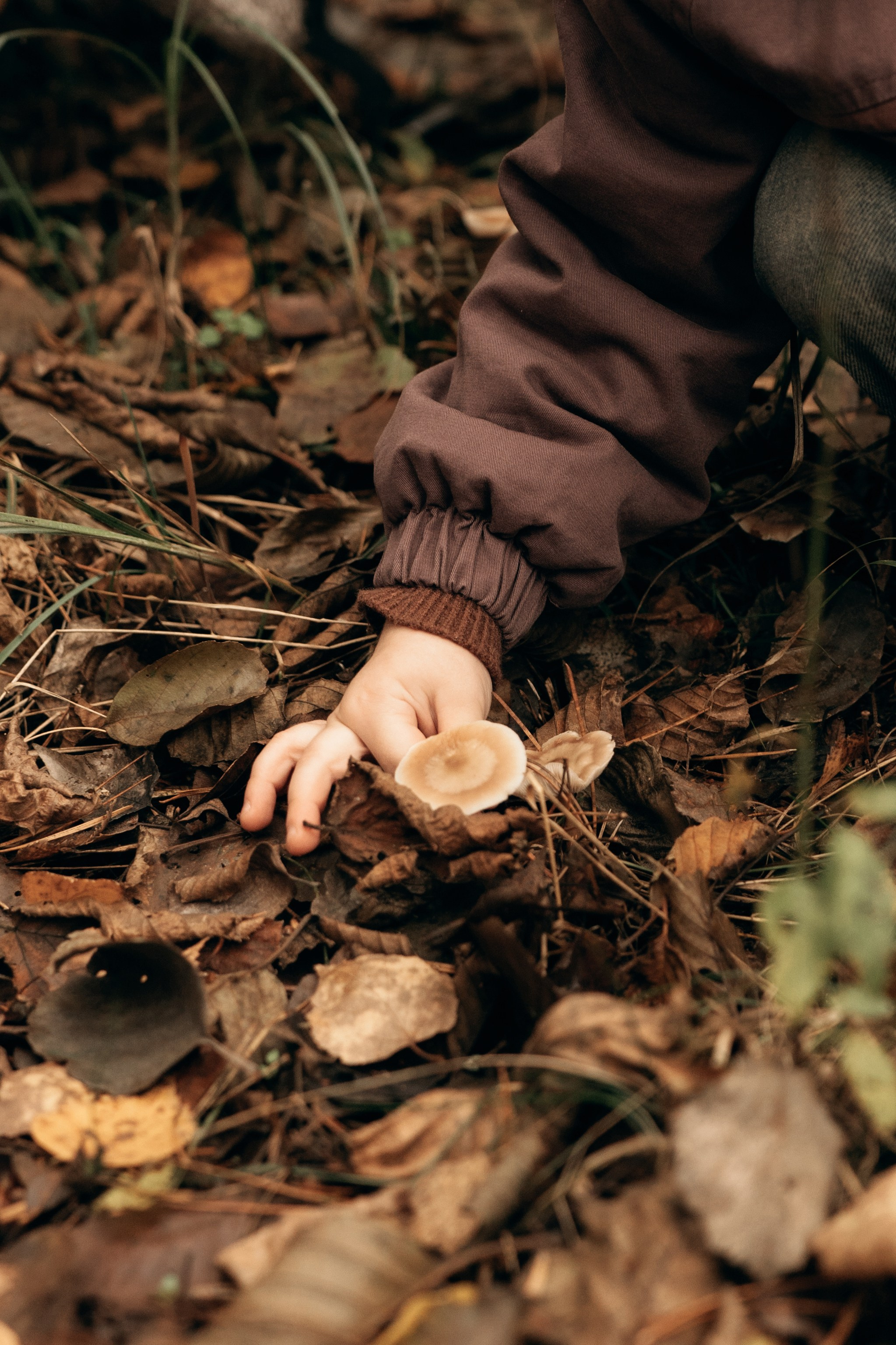 Осенняя семейная фотосессия. Ваш семейный фотограф в Минске — Вика Трегубова