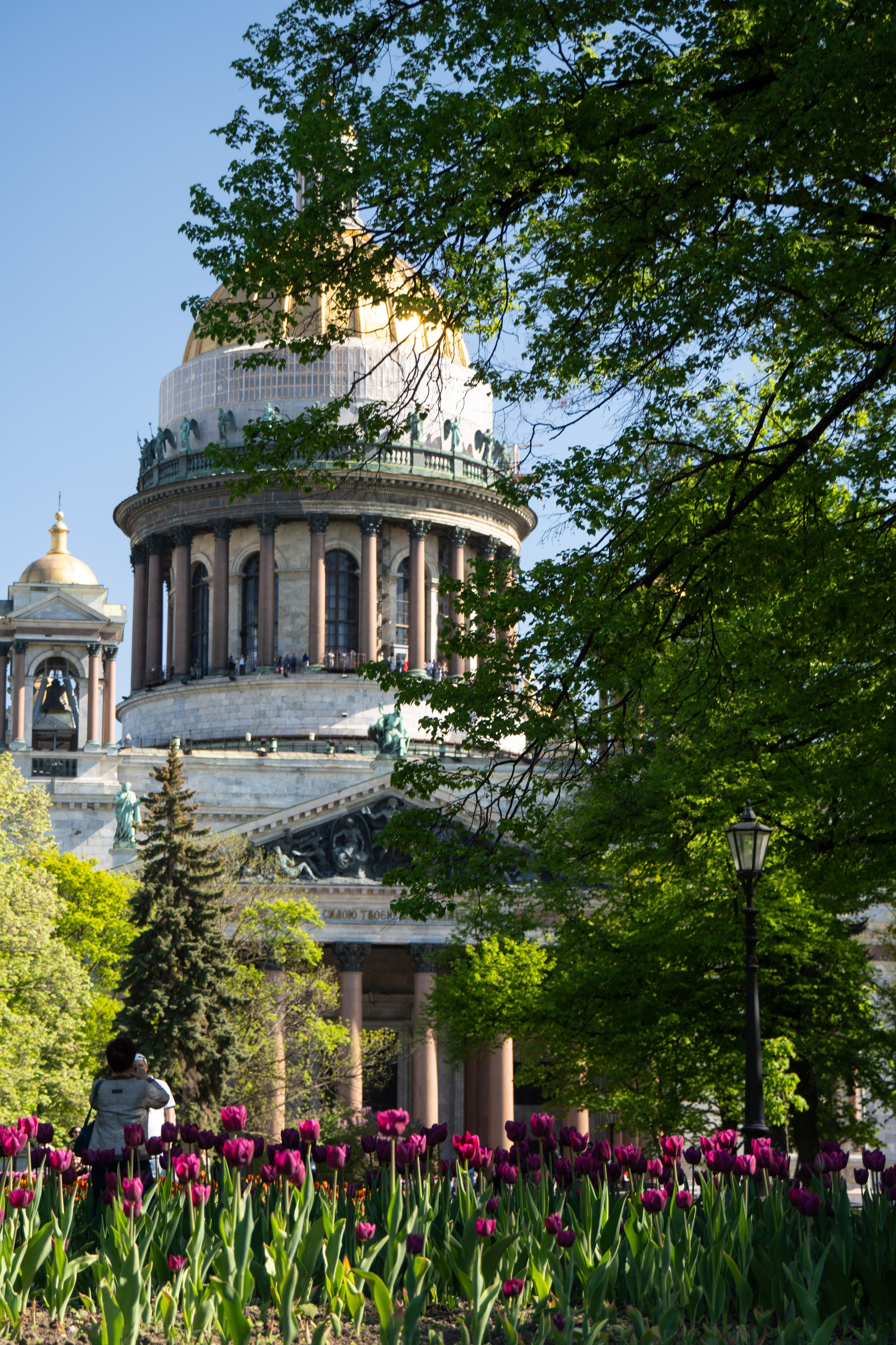 Наталья. Видеограф, фотограф в Санкт-Петербурге Элеонора Петрова