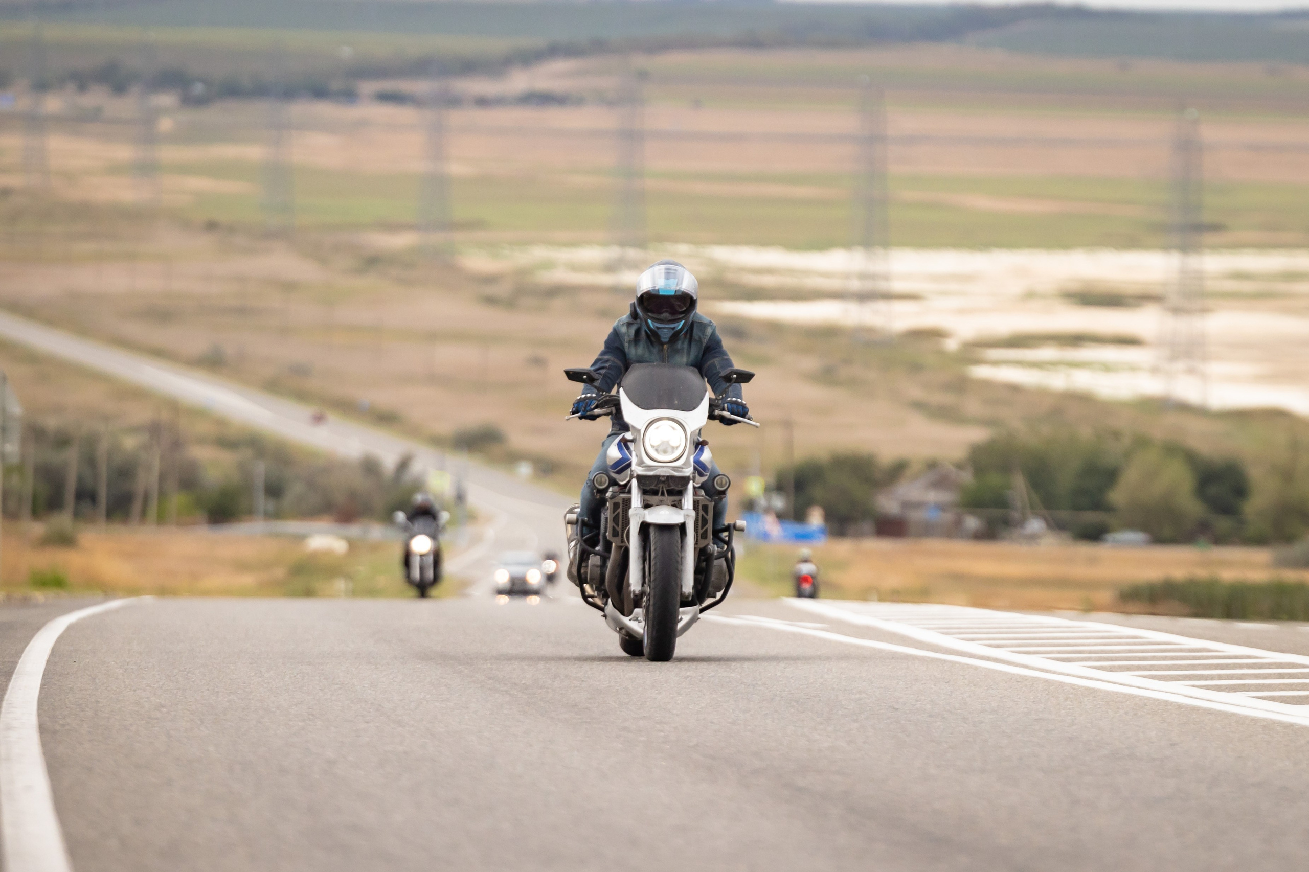 Южное Сафари в Тамани. Сентябрь 2024. Фотограф Владимир Охрименко