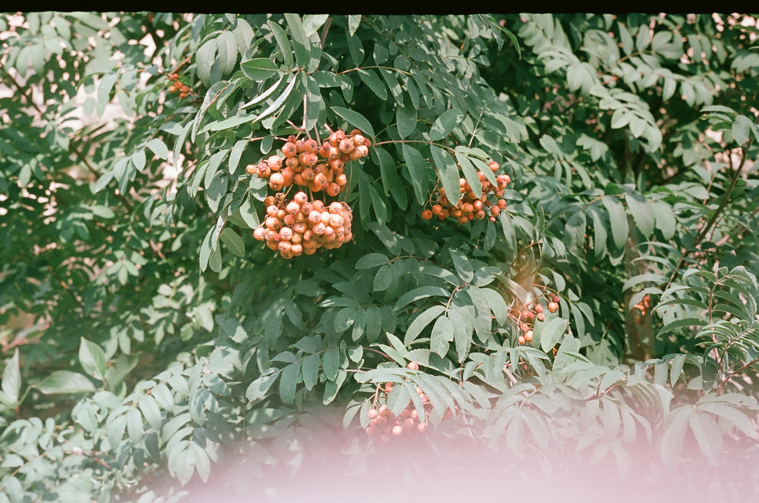 Искать. Подсвечивать. Прятать