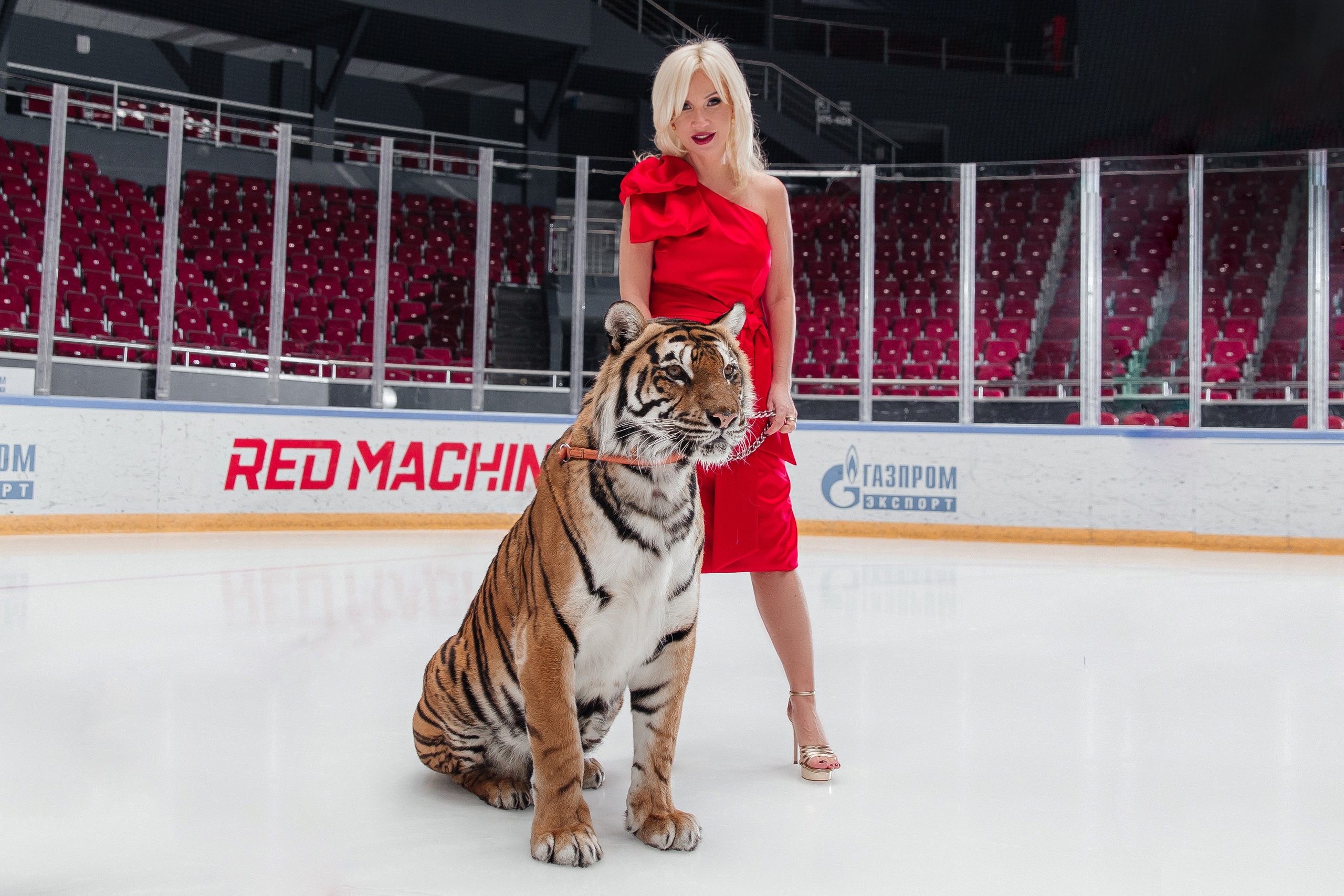 Фотосъемка корпоративов. Фотограф Екатерина