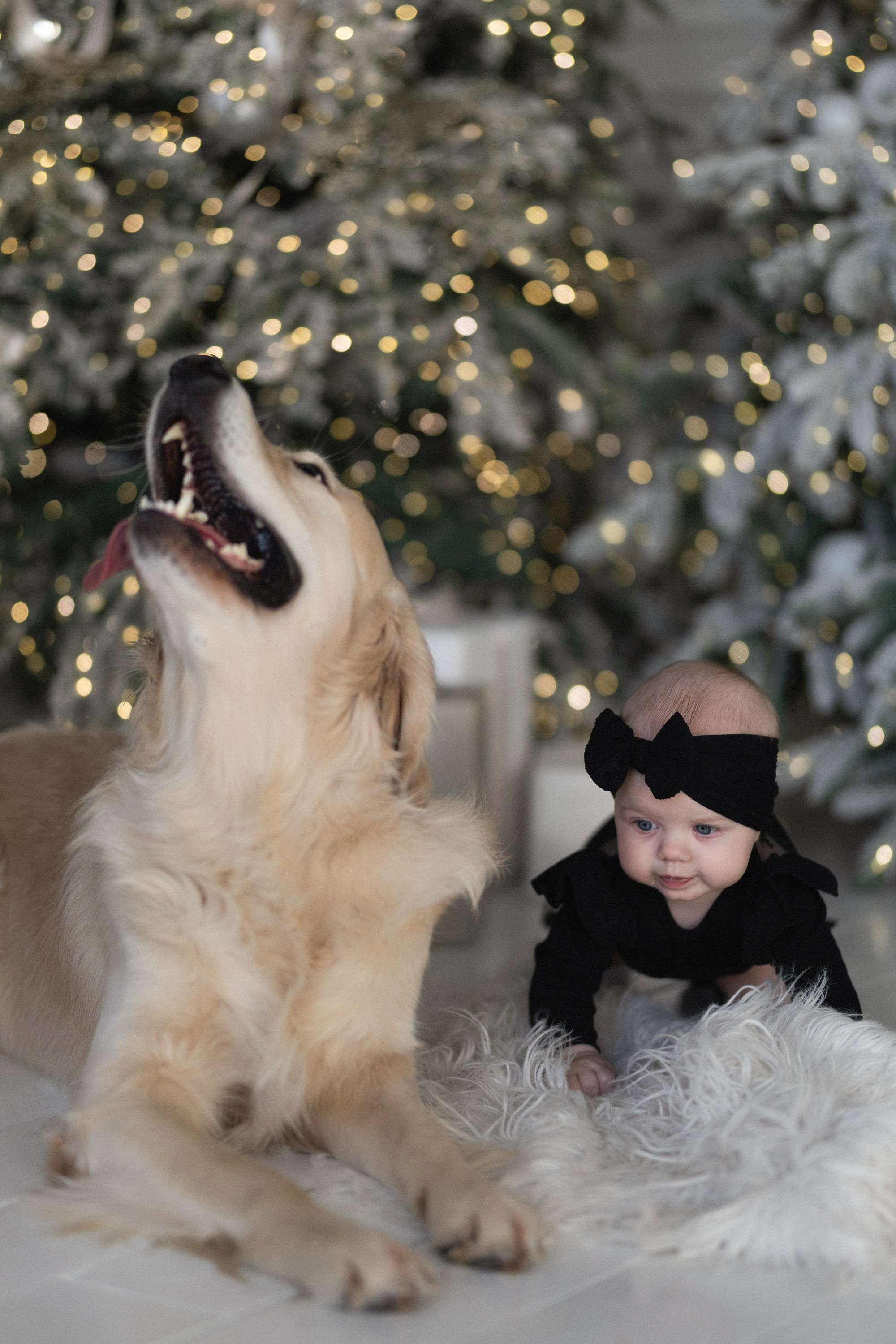 КАТЯ, ПАША, ТАСЯ И КАСПЕР ` 25. Maria Startseva Photo