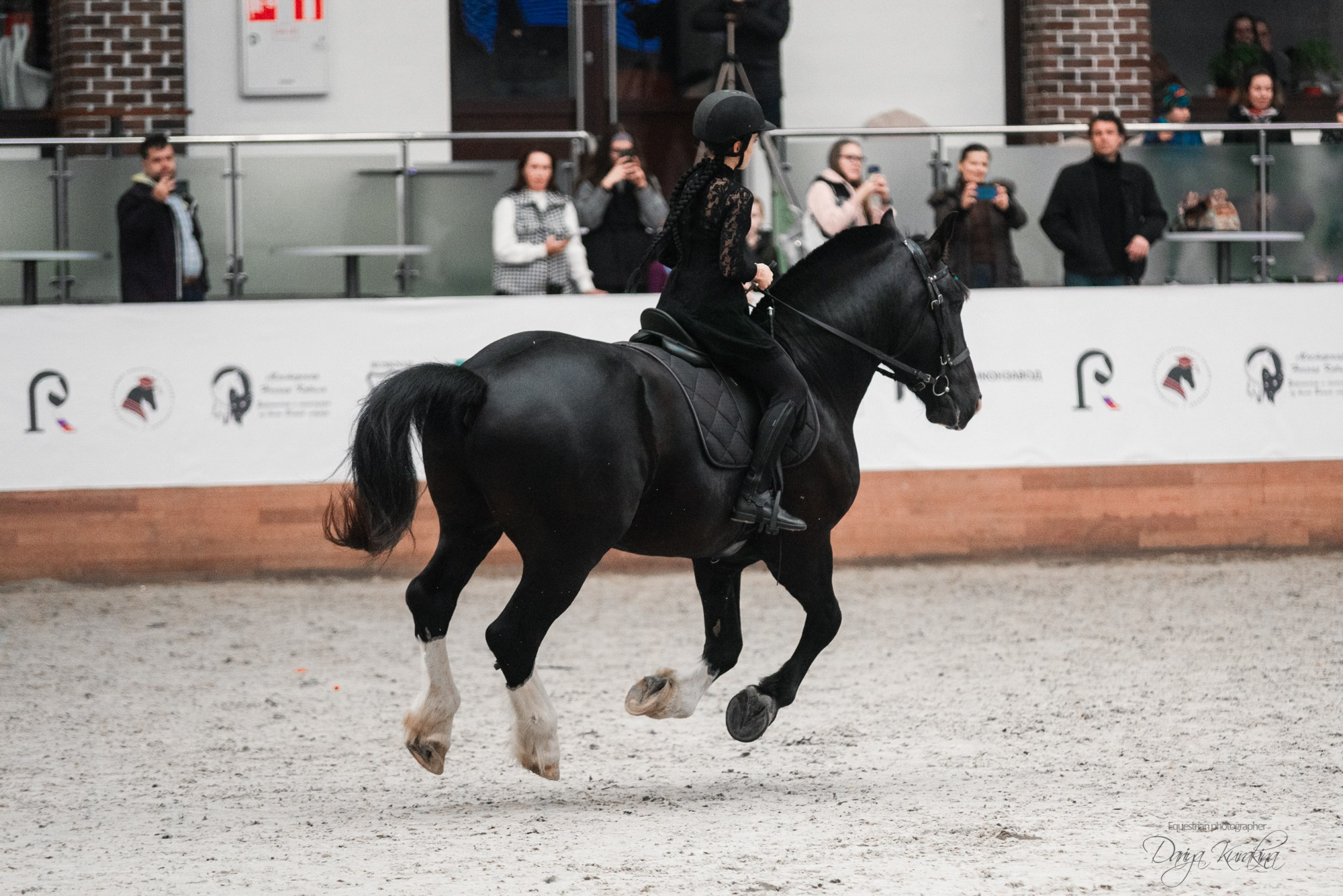 8-я международная выставка Конная Россия. Конный фотограф Куракина Дарья • Фотосессии с лошадьми