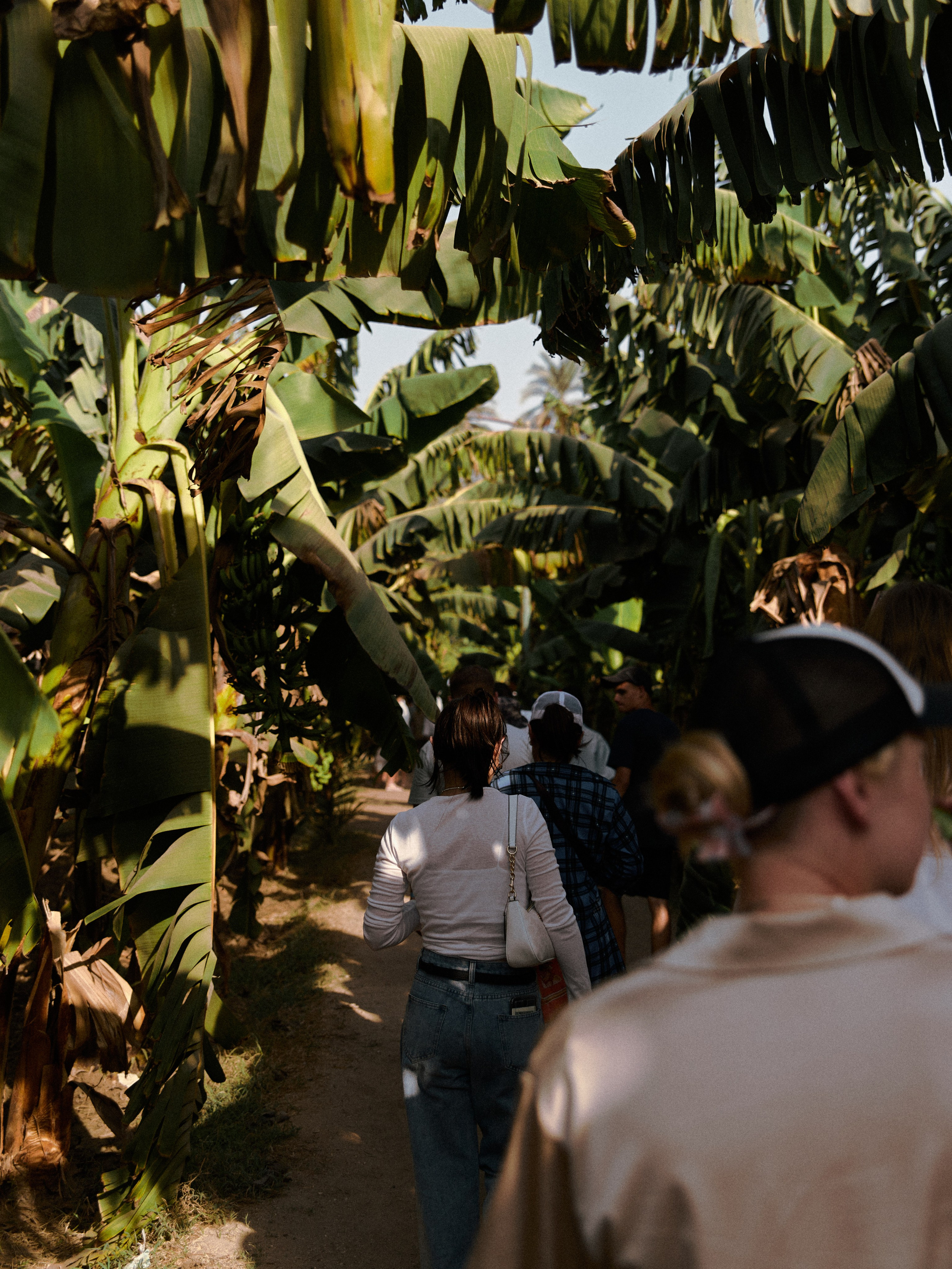 Другое 2. Jorgis Talè — photographer, kind person, teacher of arts and other mag