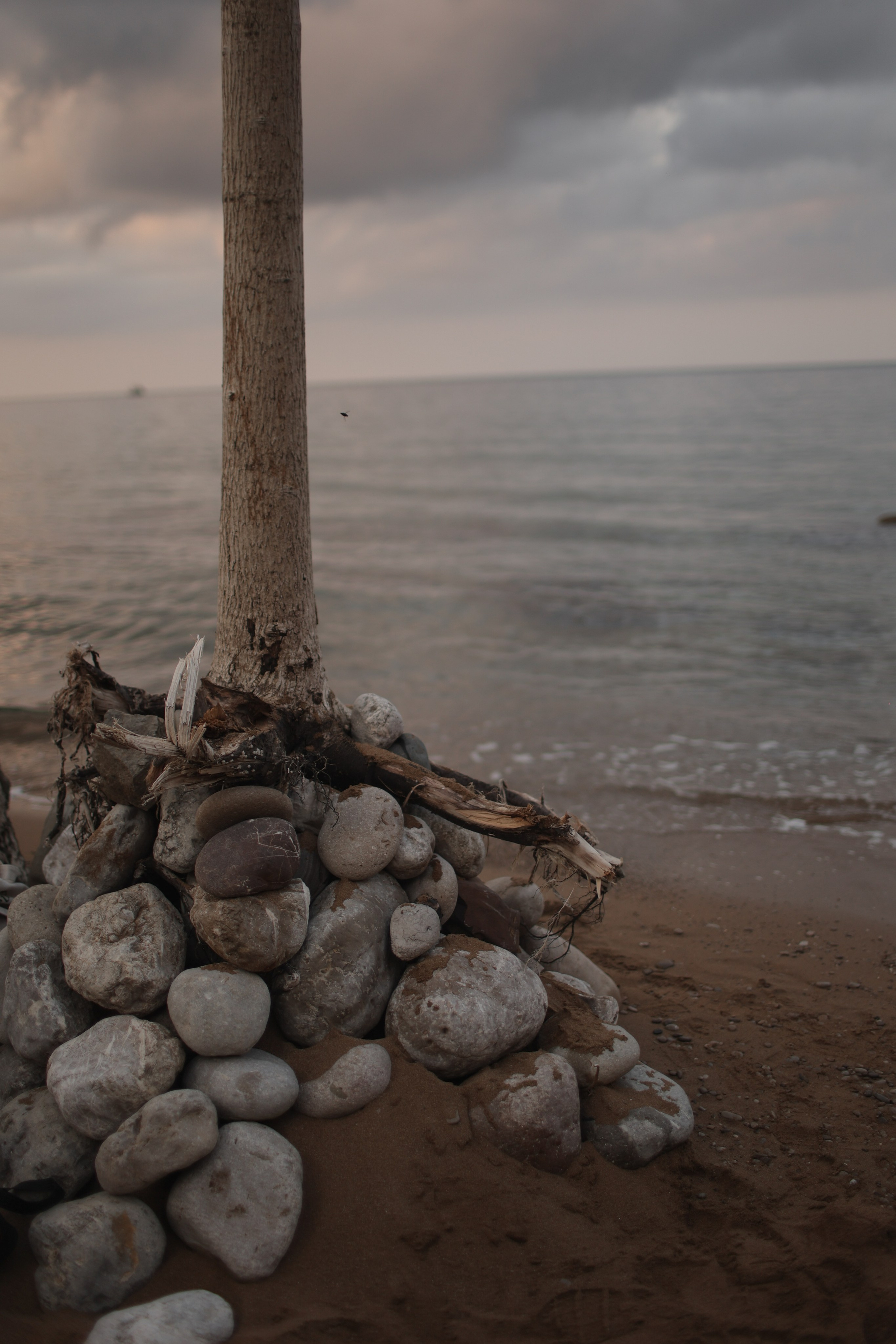 МК Игоря Сазонова. Свадебный фотограф в Крыму