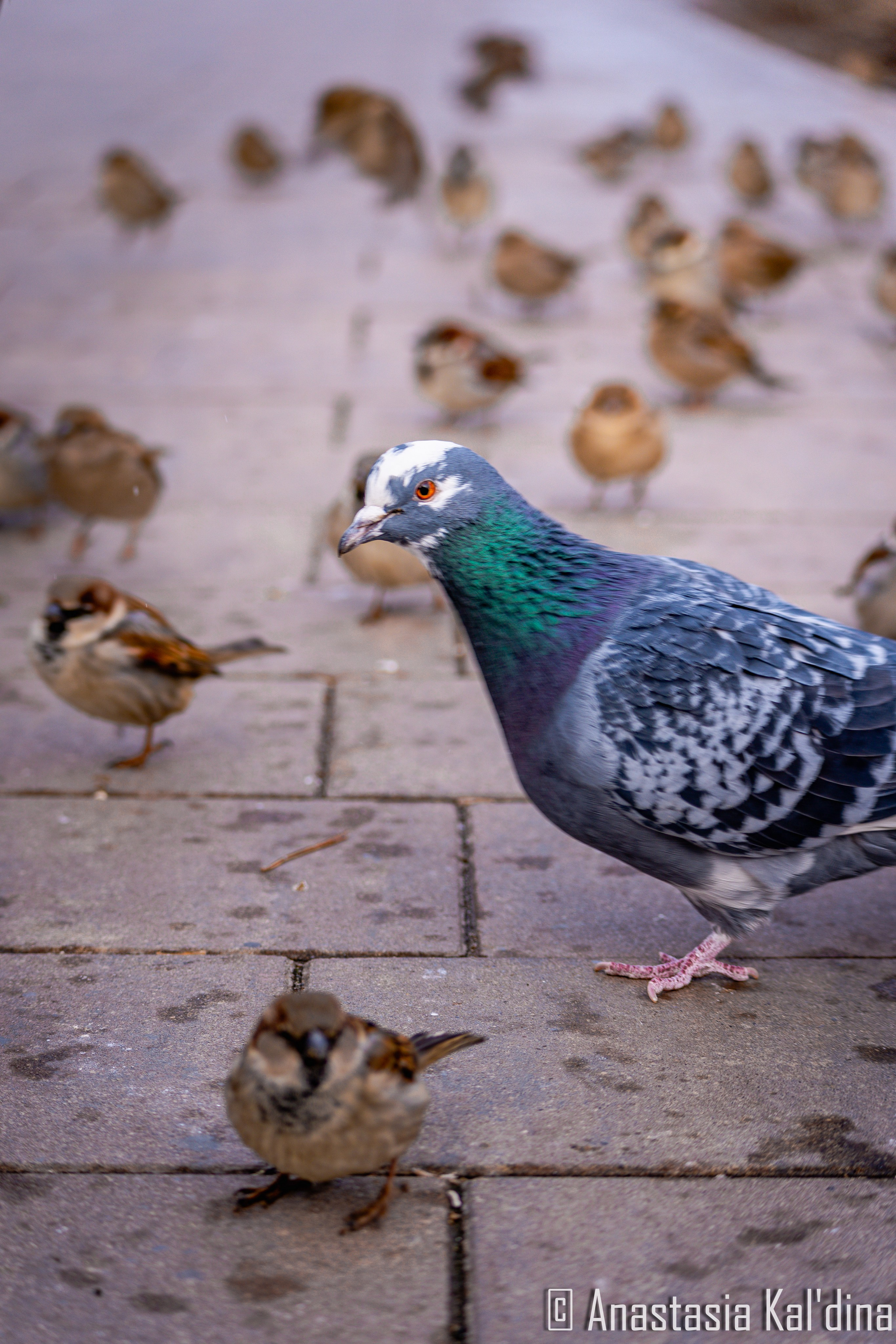 Городской пейзаж/архитектура. Фотограф в Волгограде и Волжском Анастасия Кальдина