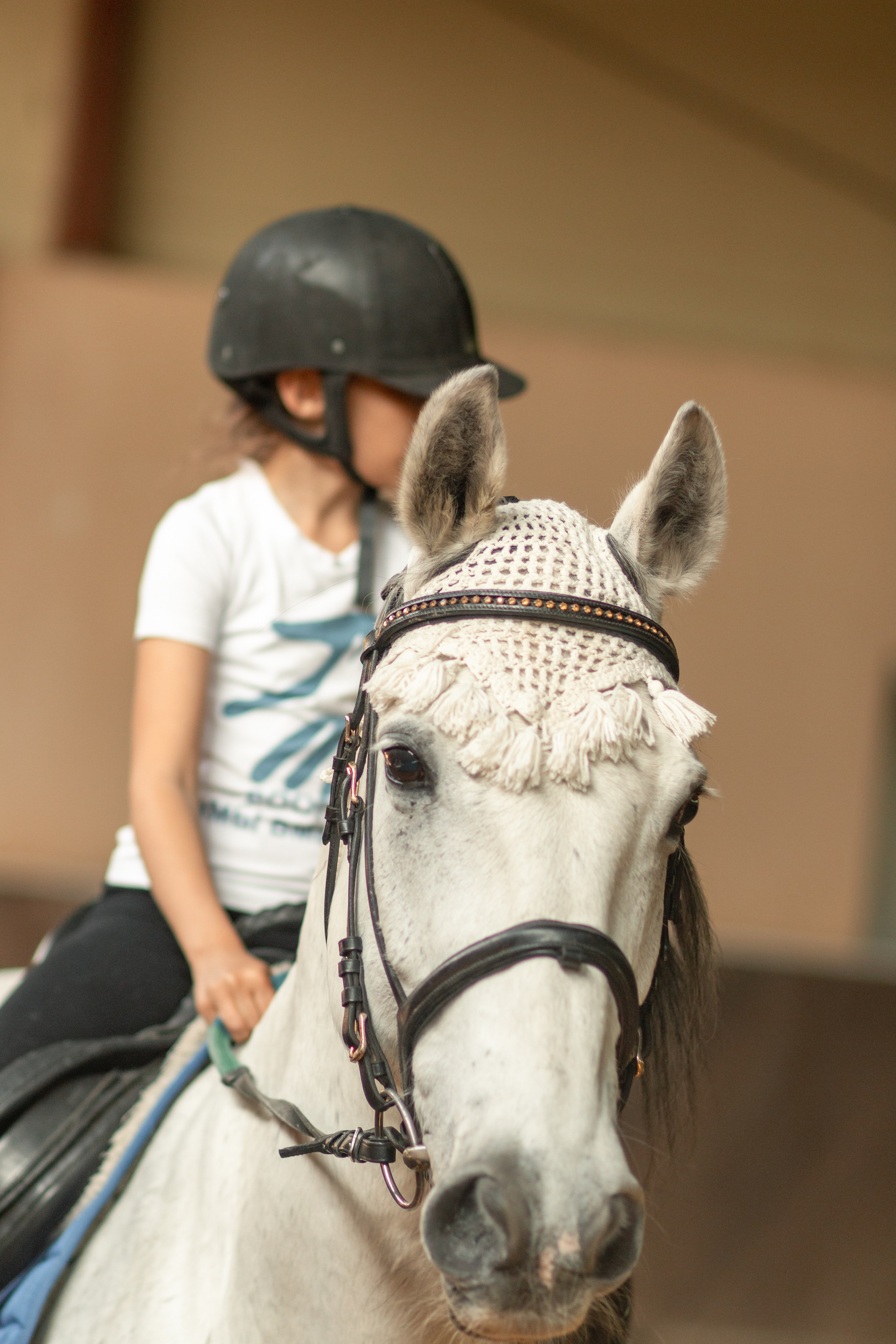 Новости конного спорта