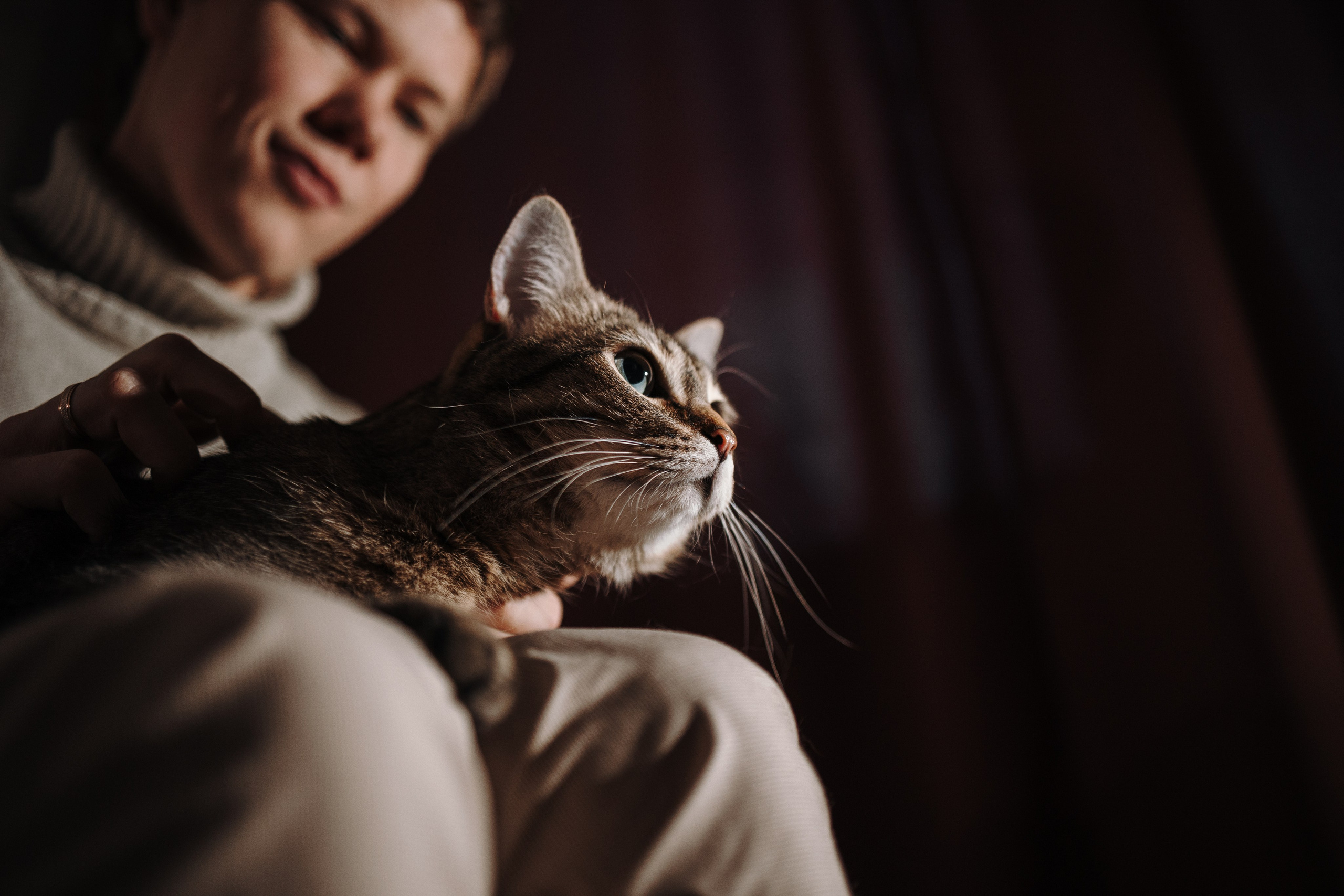 Мася и ее семья. Фотограф — Анималист | Санкт-Петербург