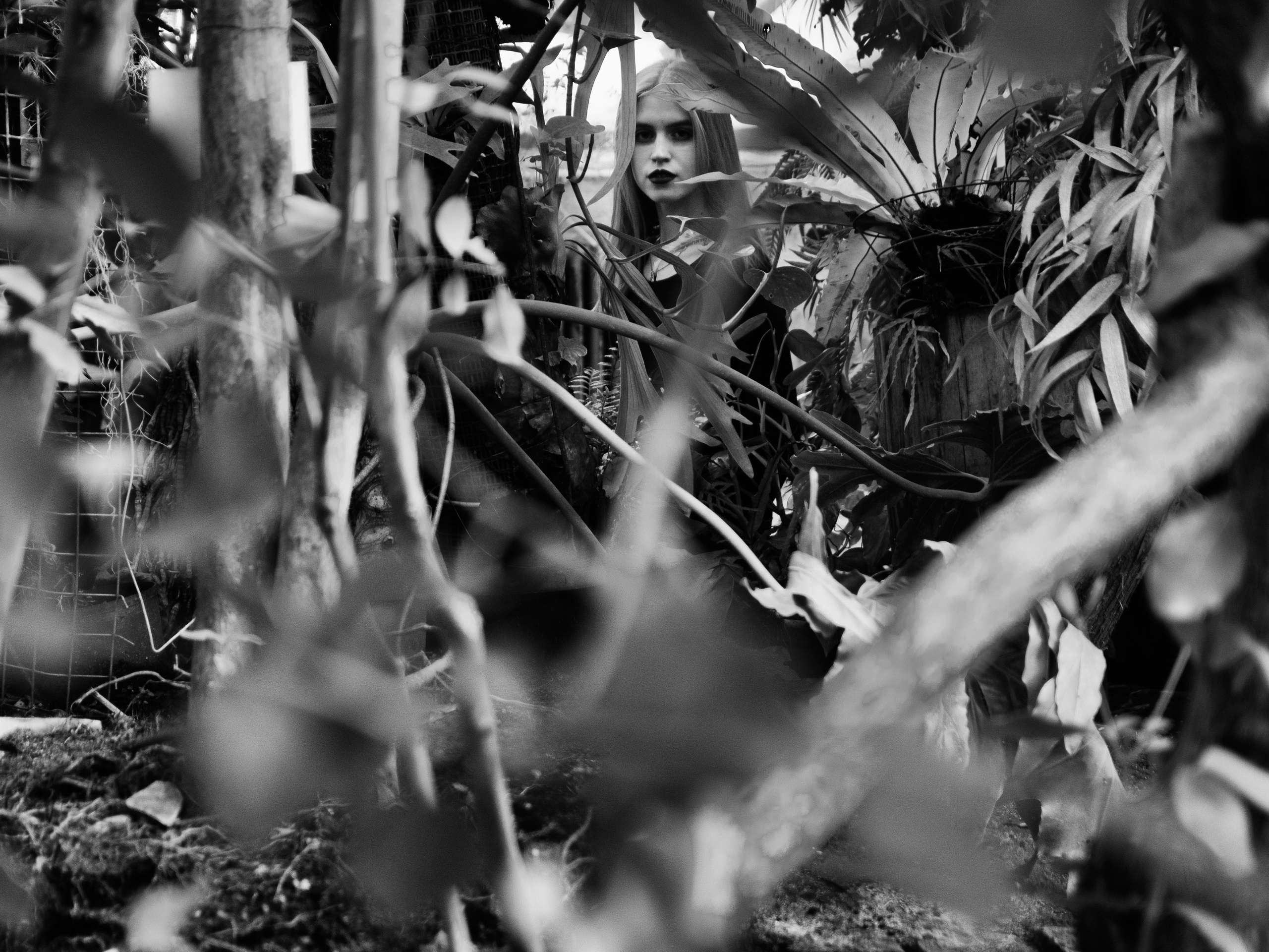 Behind the curtain of nature. Elena Beregatnova. Documentary and art photographer