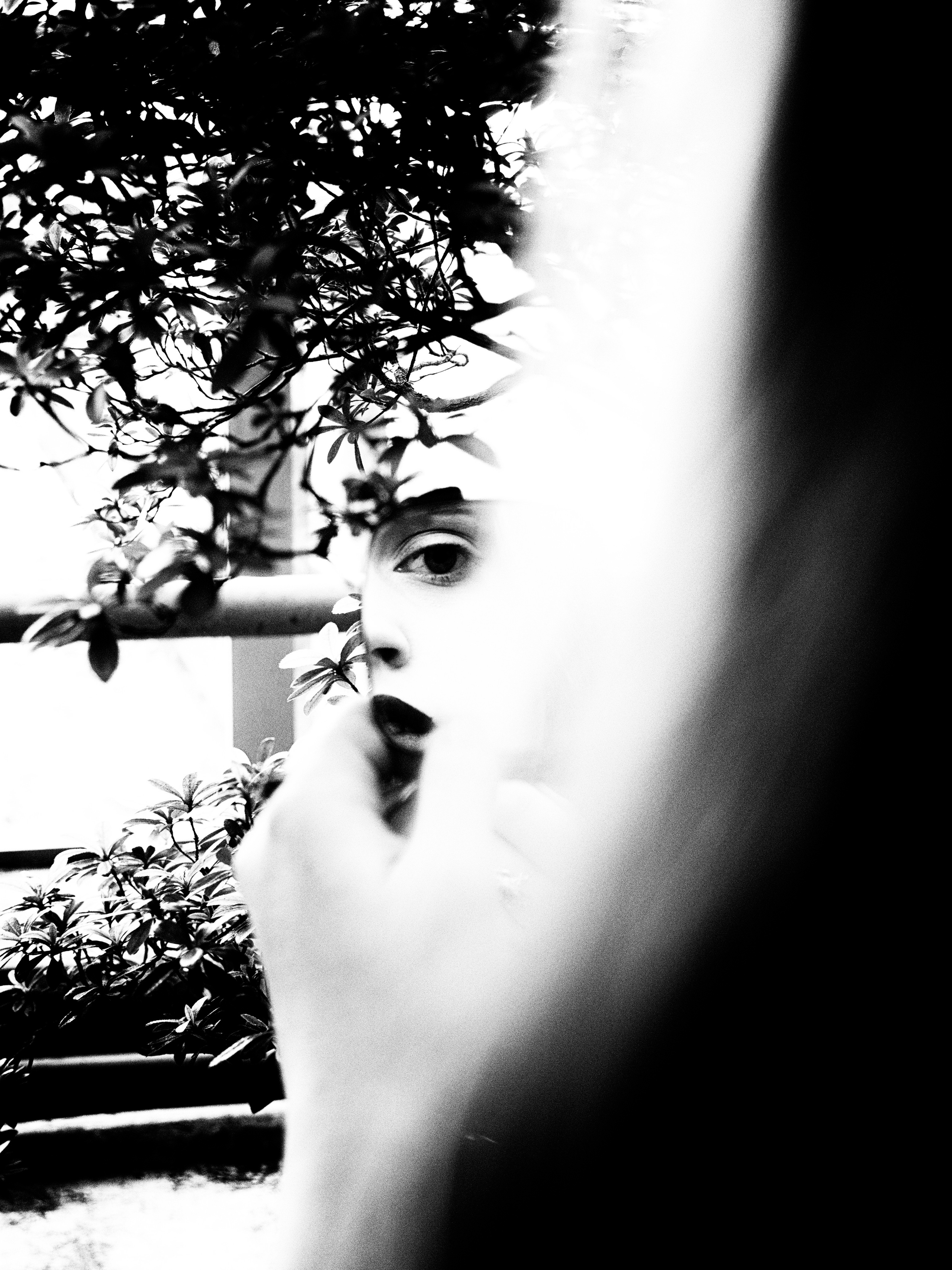 Behind the curtain of nature. Elena Beregatnova. Documentary and art photographer