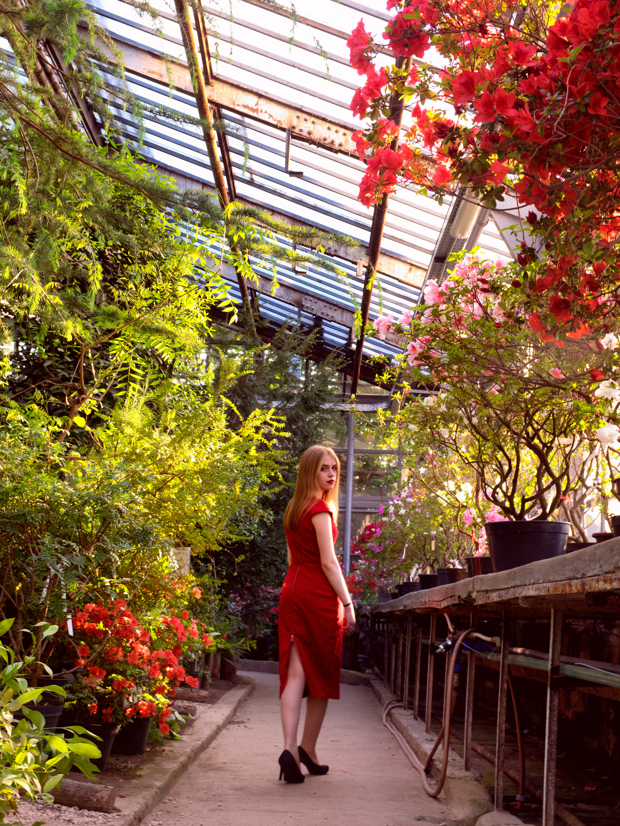 Behind the curtain of nature. Elena Beregatnova. Documentary and art photographer