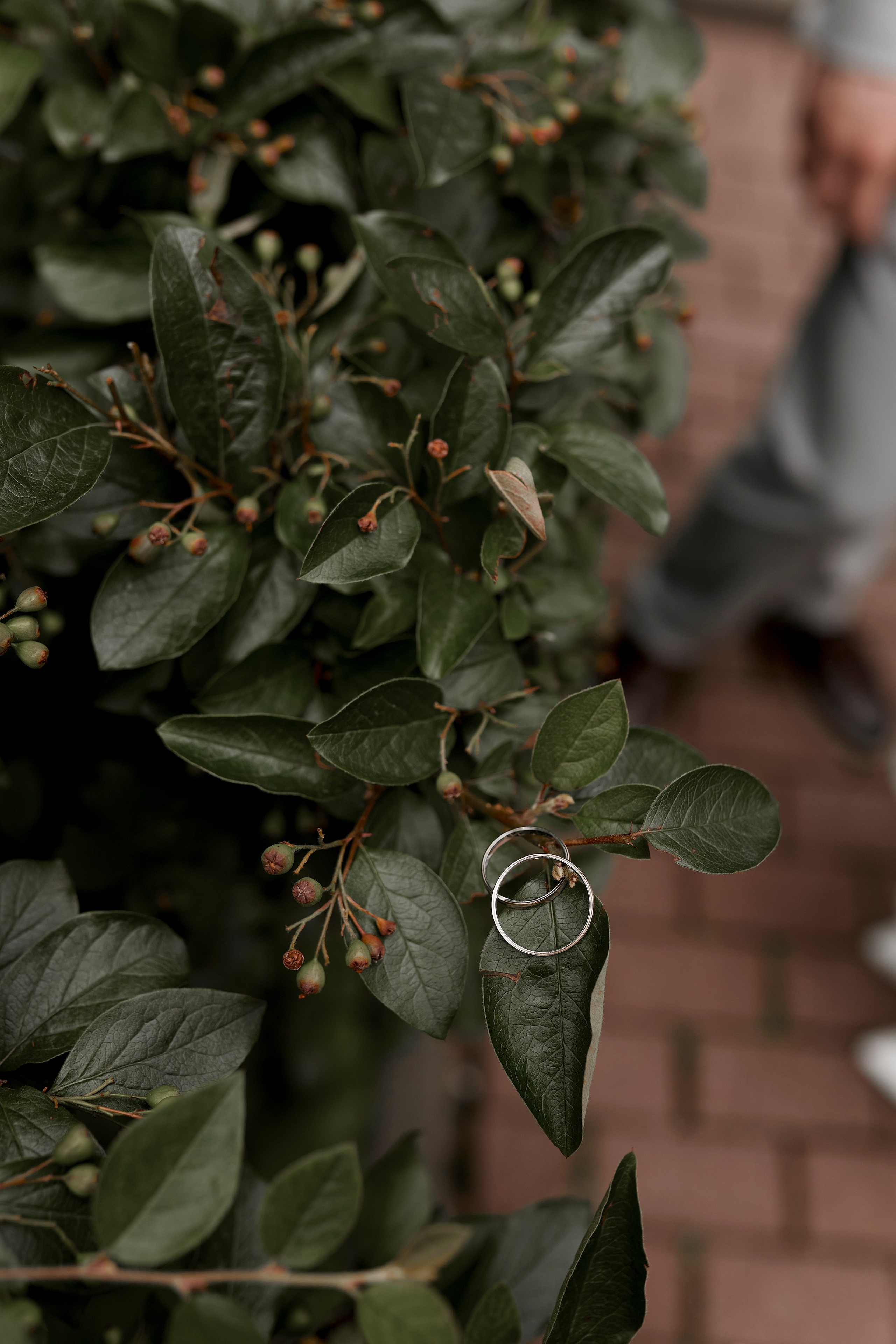 Екатерина и Дмитрий. Анастасия Шкуднова — свадебный и женский фотограф в Брянске