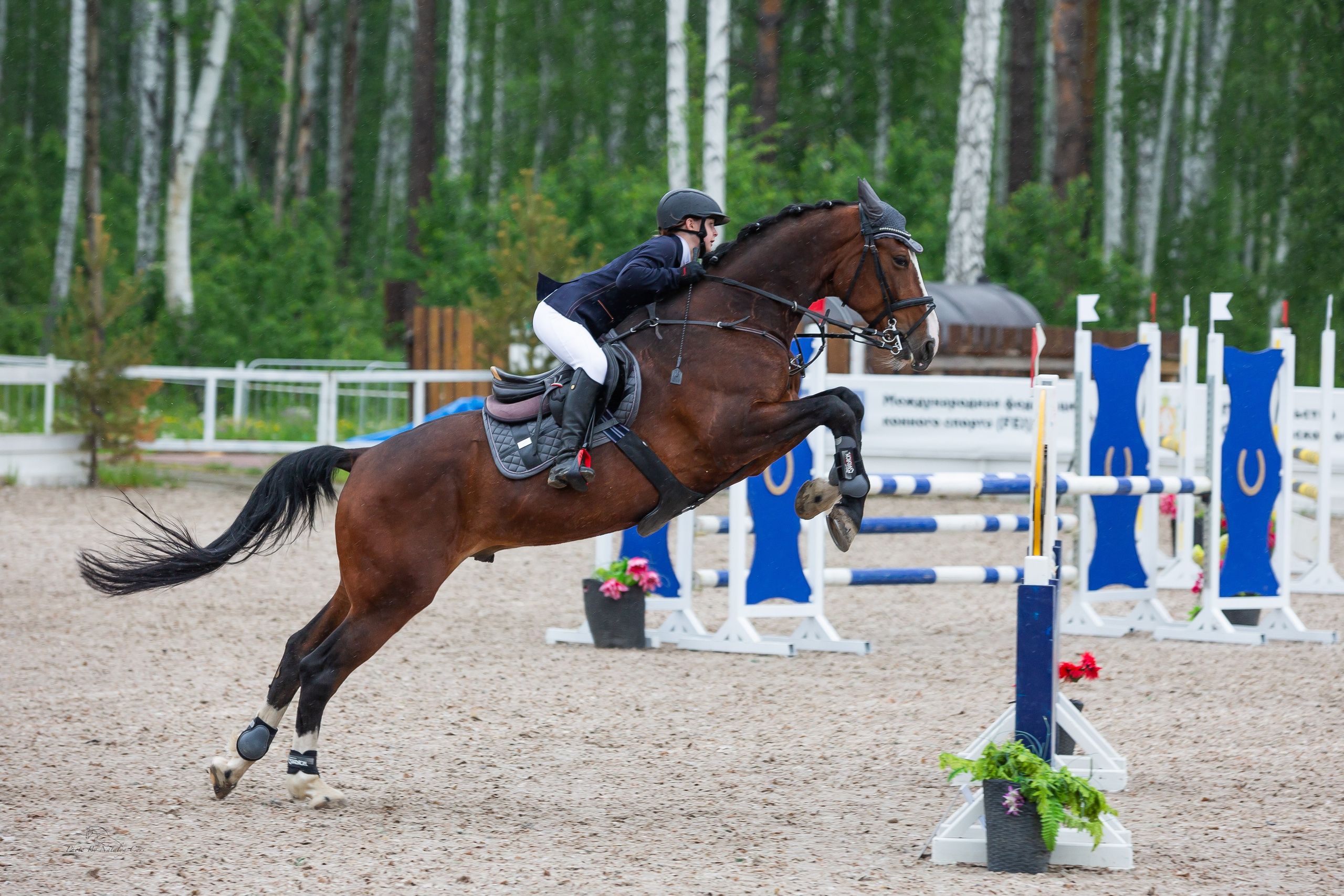 турнирный конный фотограф Екатеринбург, фото с соревнований КСК Дубрава, конный фотограф Екатеринбург, конкур, соревнования по конному спорту, Фотограф анималист Екатеринбург