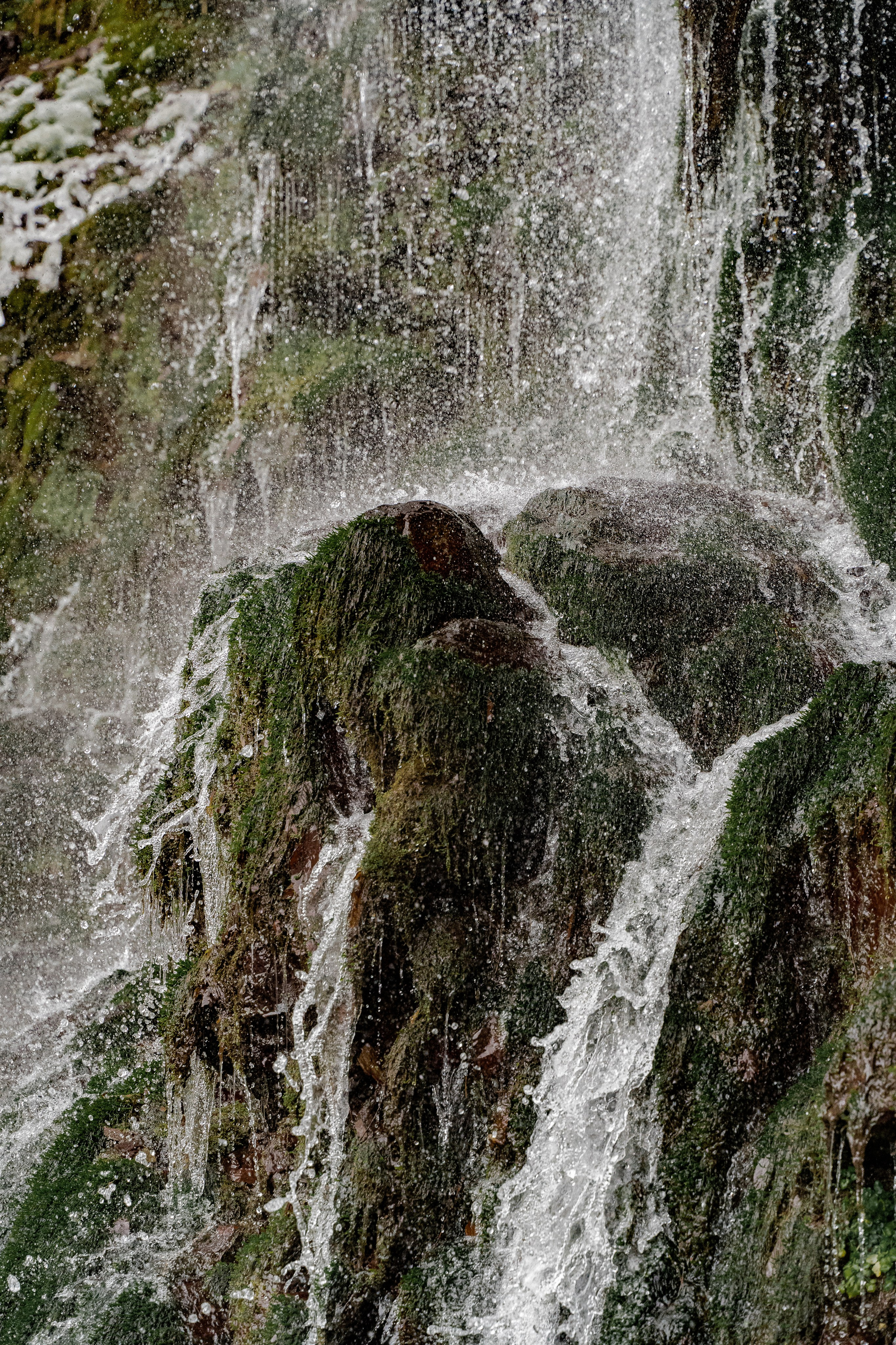 Фотографии Сочи, глазами гида-фотографа. Фотограф в Сочи Елена Лисотина. Фототуры в Сочи