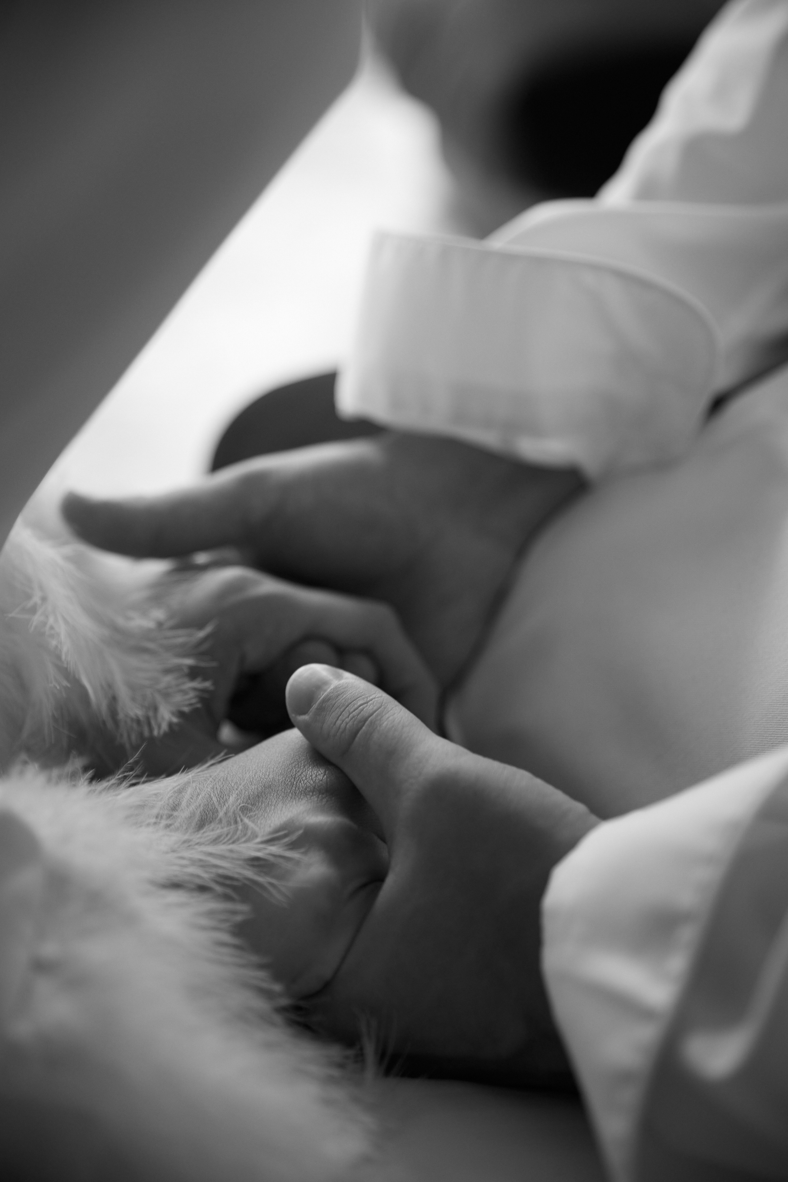 95 градусов по Фаренгейту. Фотограф Елена Краснопевцева