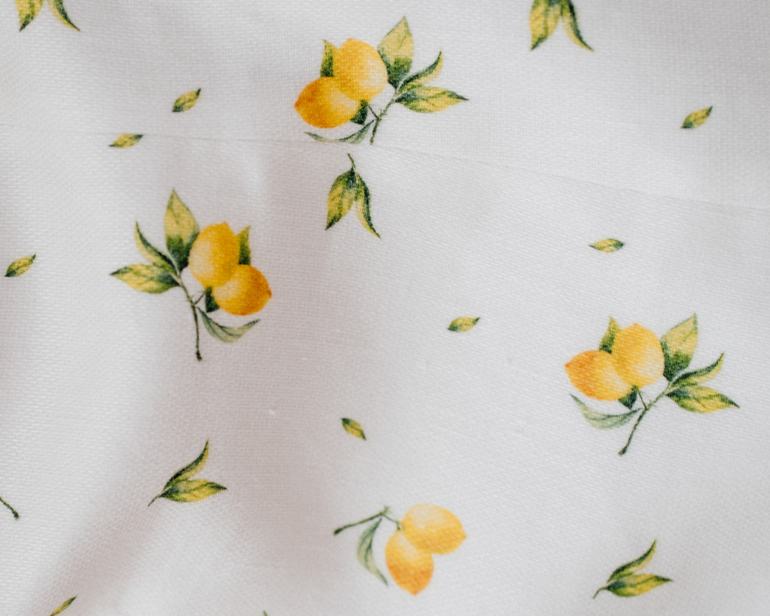 Italian party. Свадебный фотограф в Краснодаре и Сочи Винидиктова Екатерина