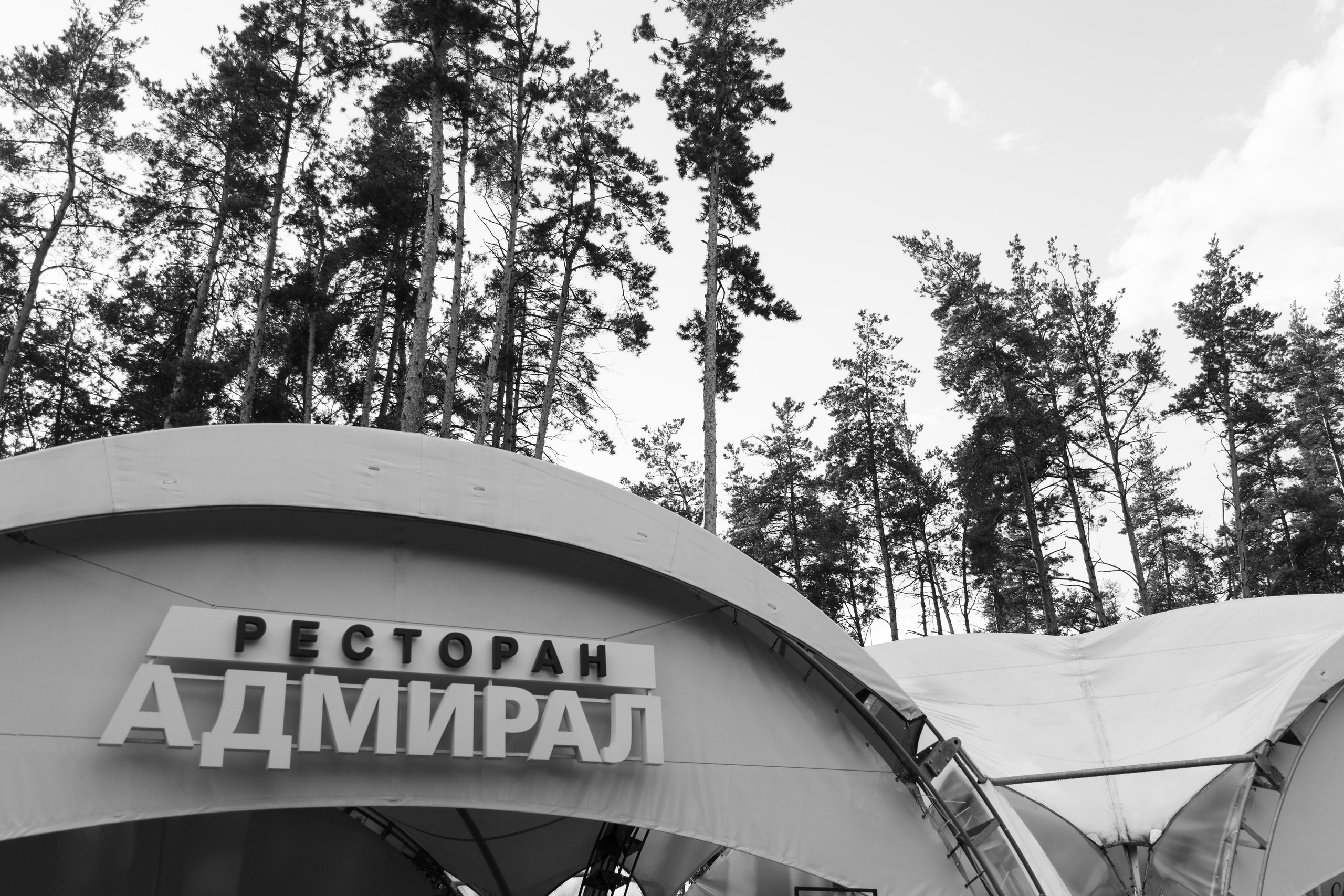 The Red line. Артём Бачурин — свадебный фотограф Воронеж