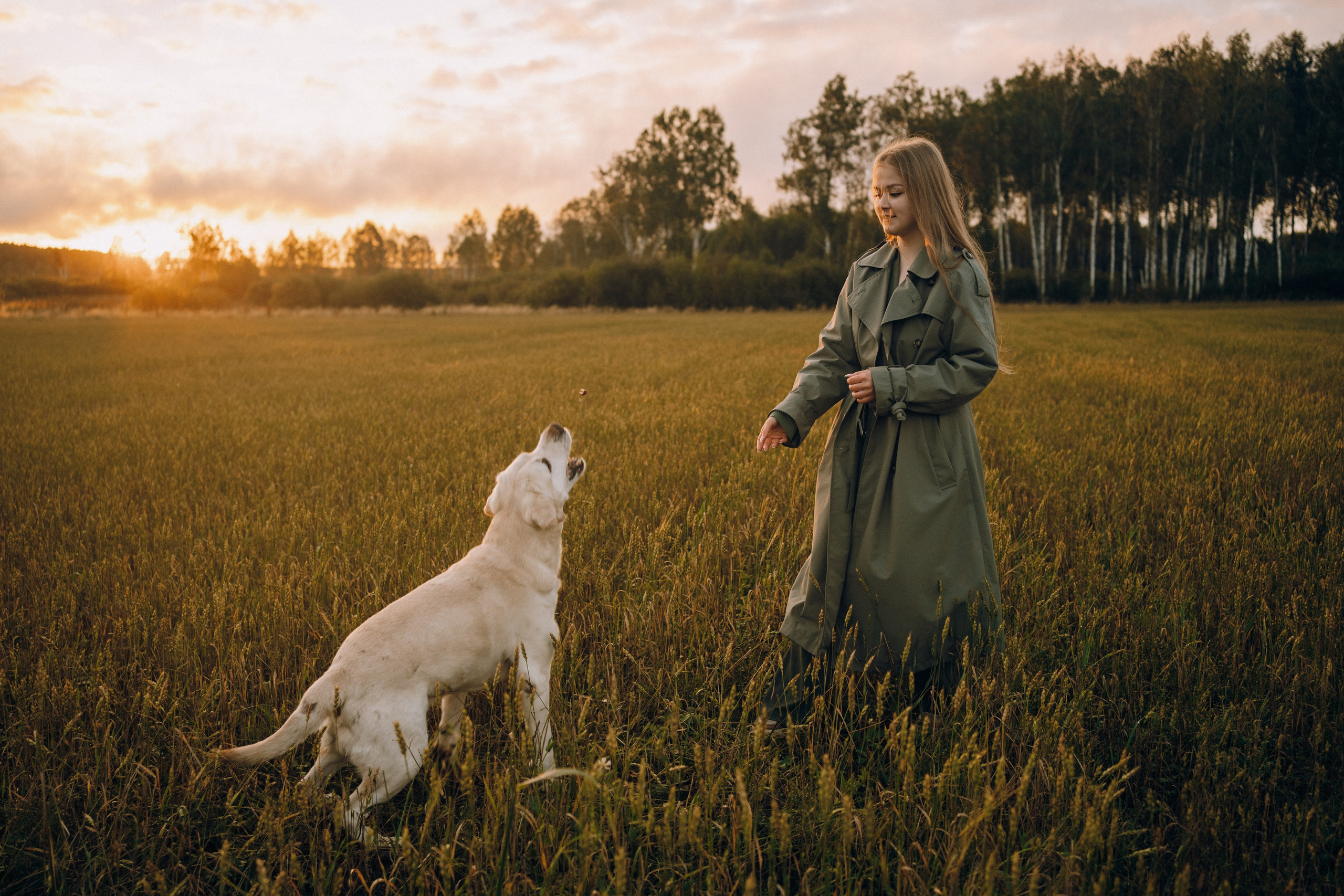 Дана и Арчи. Фотограф-анималист Анастасия Большакова