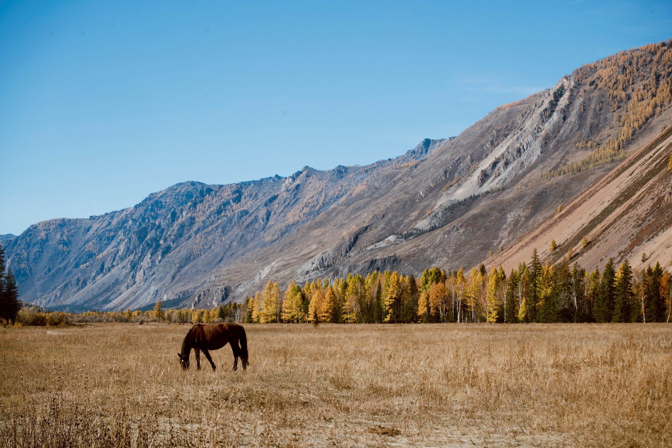 Фотограф | Рилсмейкер