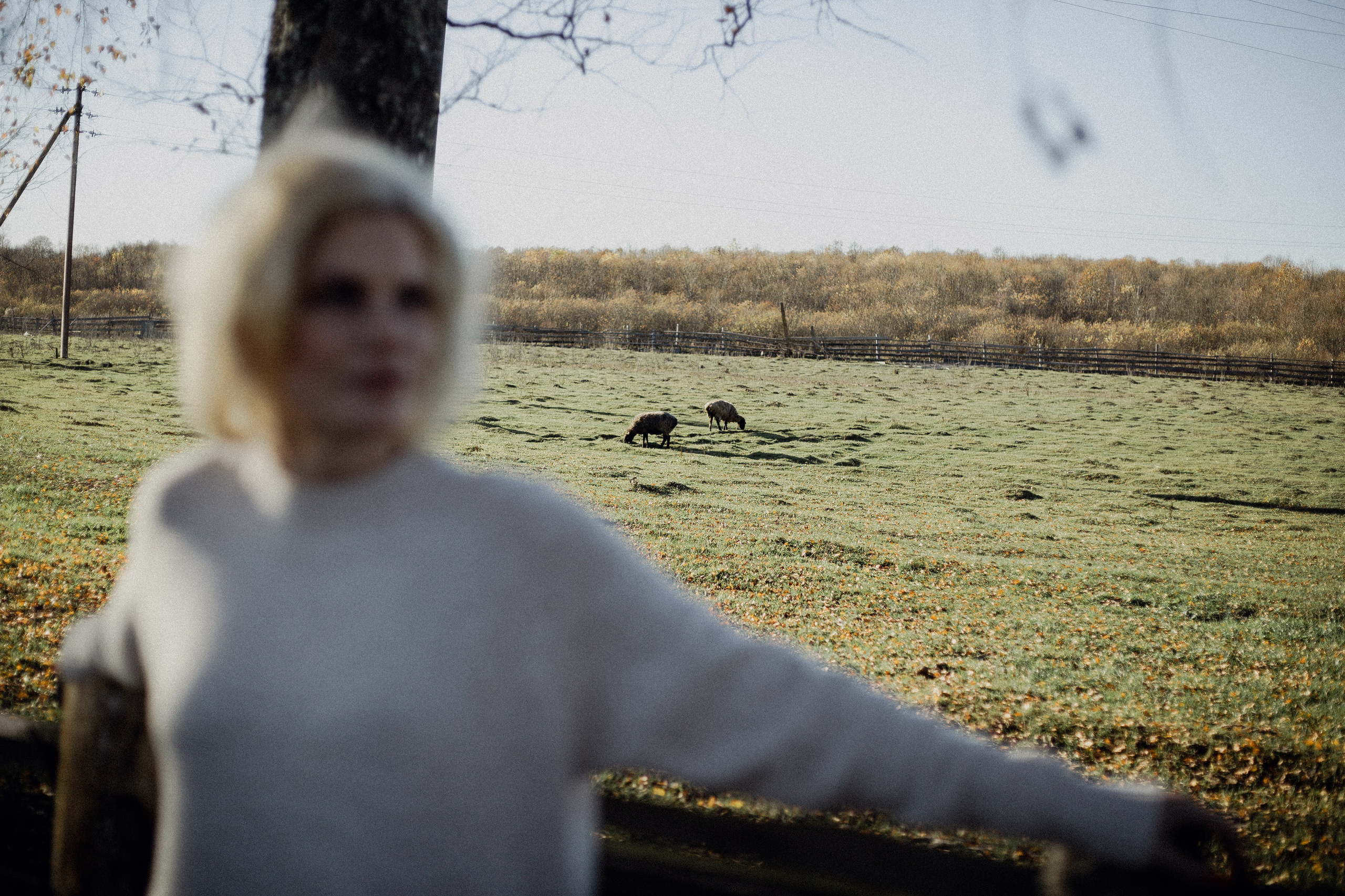 Любовь…. Анастасия Гольнева